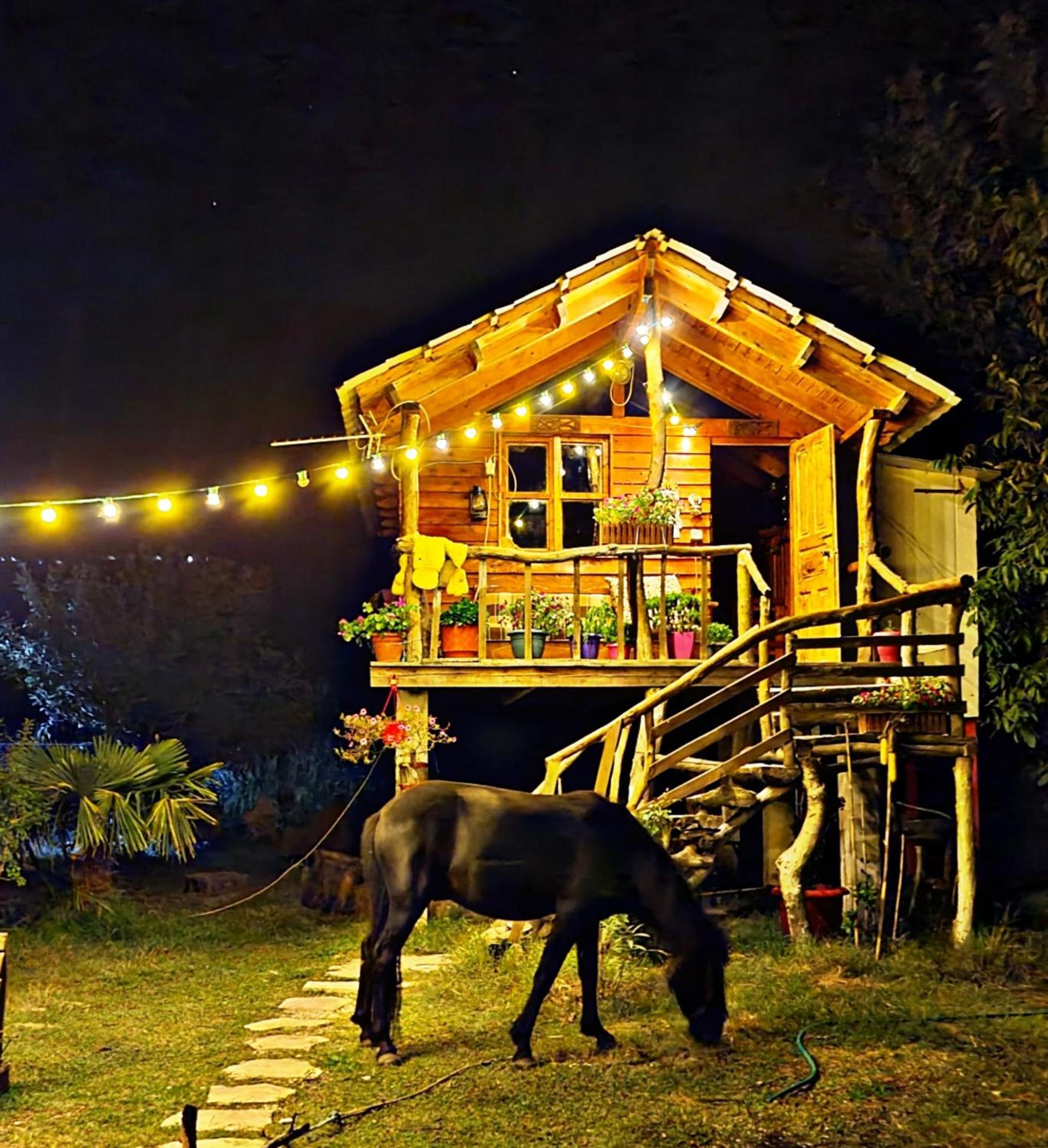 Life on the farm