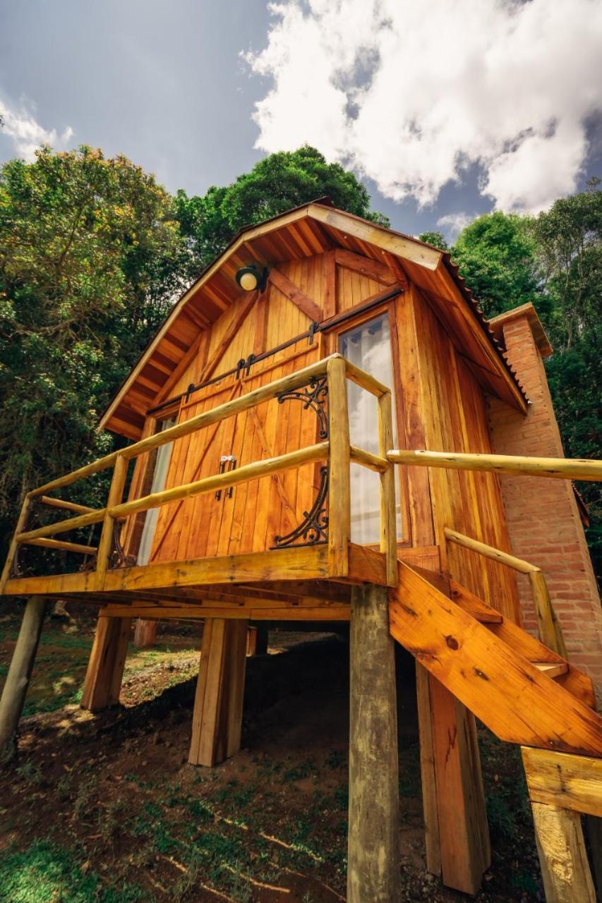 Montanha Home