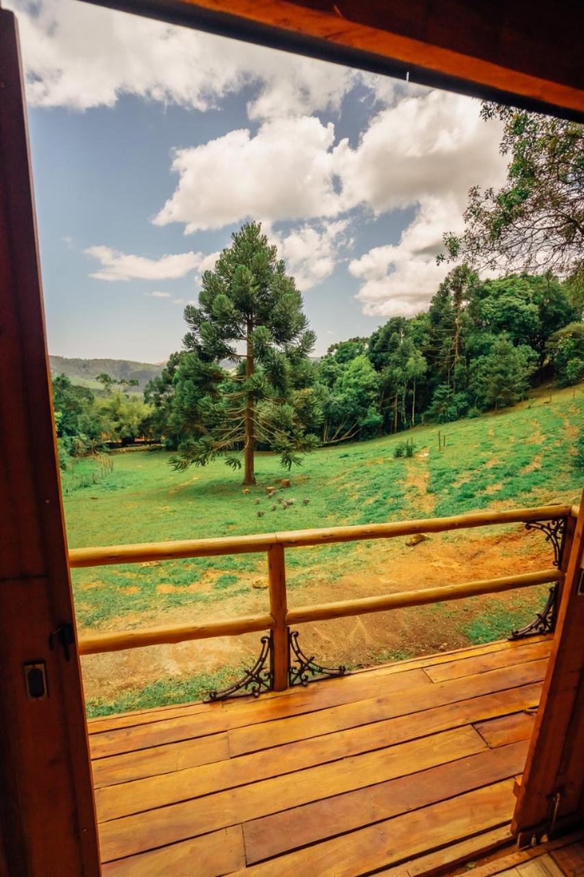 Montanha Home