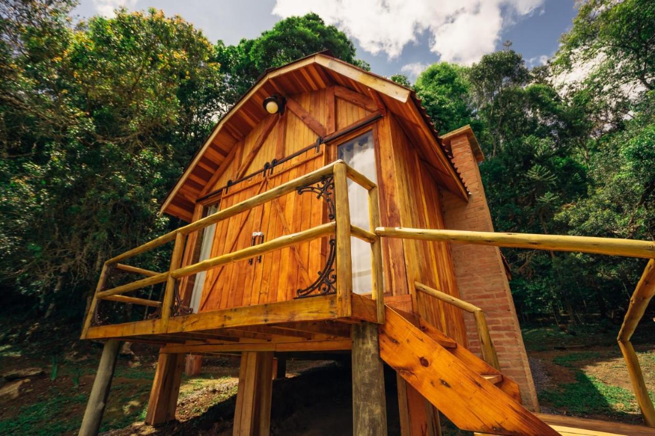 Montanha Home