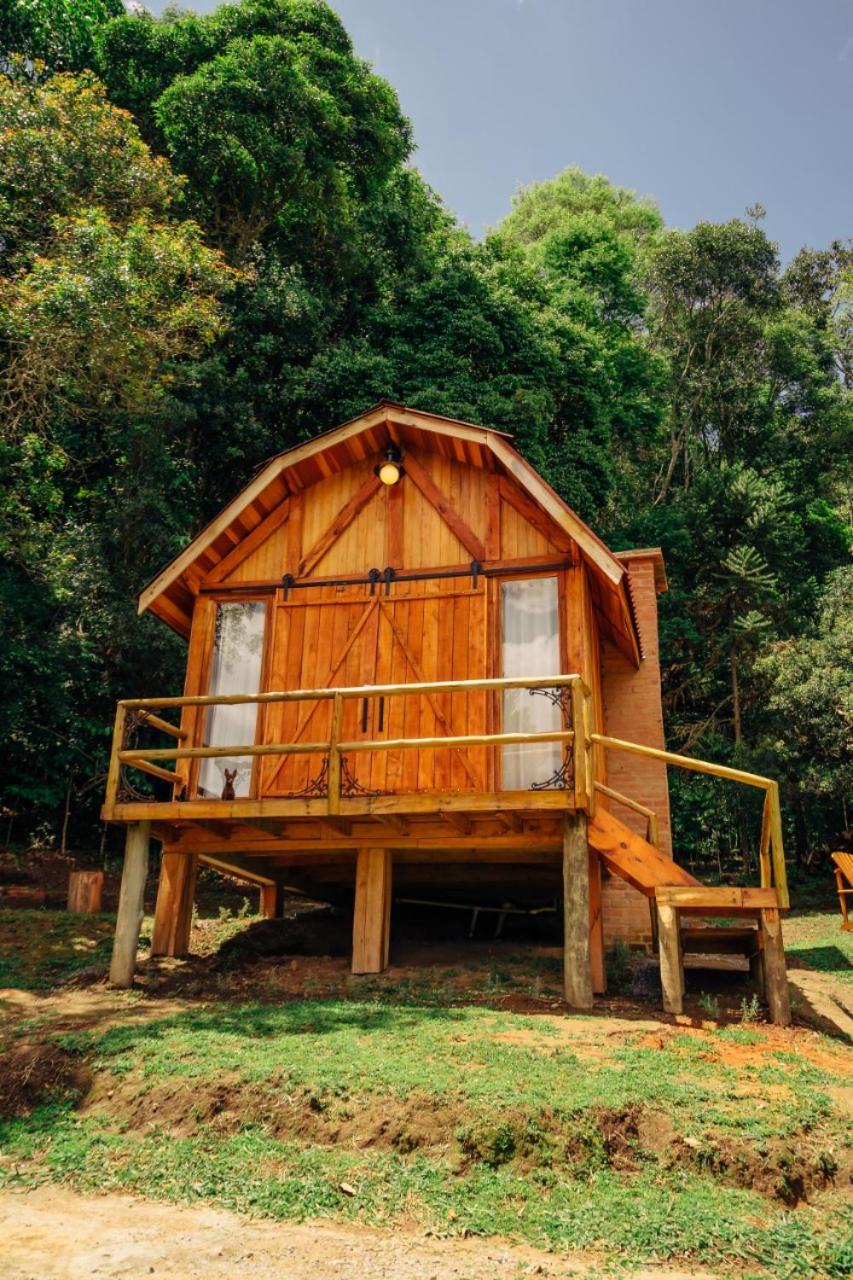 Montanha Home