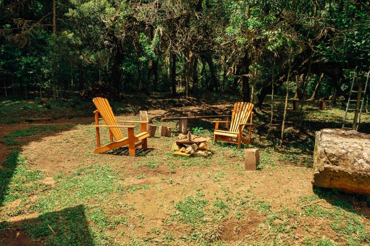 Montanha Home