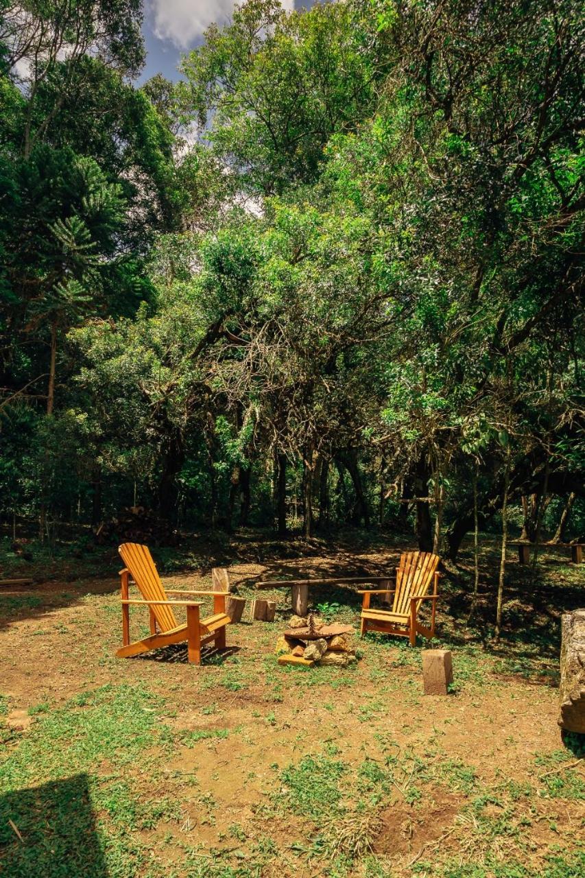 Montanha Home
