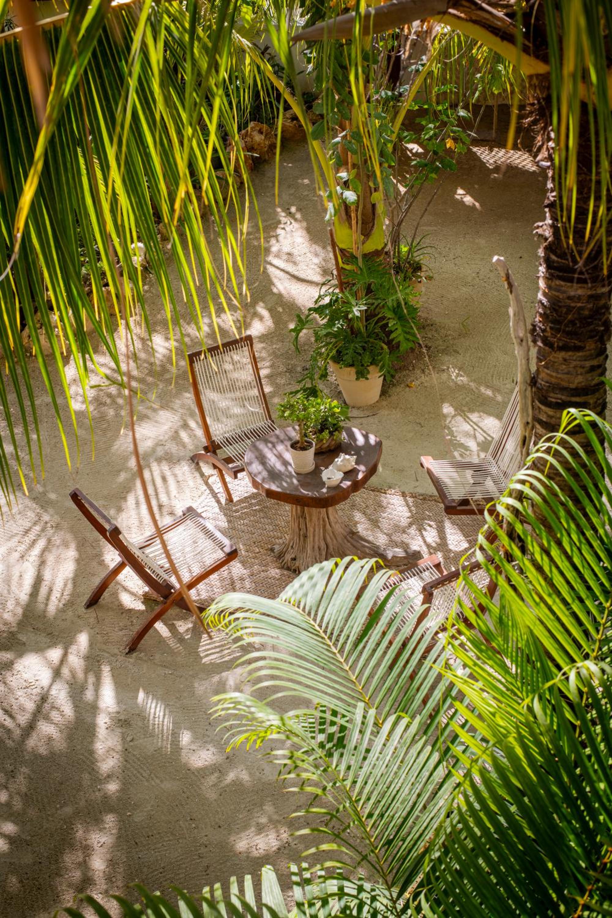 El Corazón Boutique Hotel - Adults Only with Pool & Beach Club Access