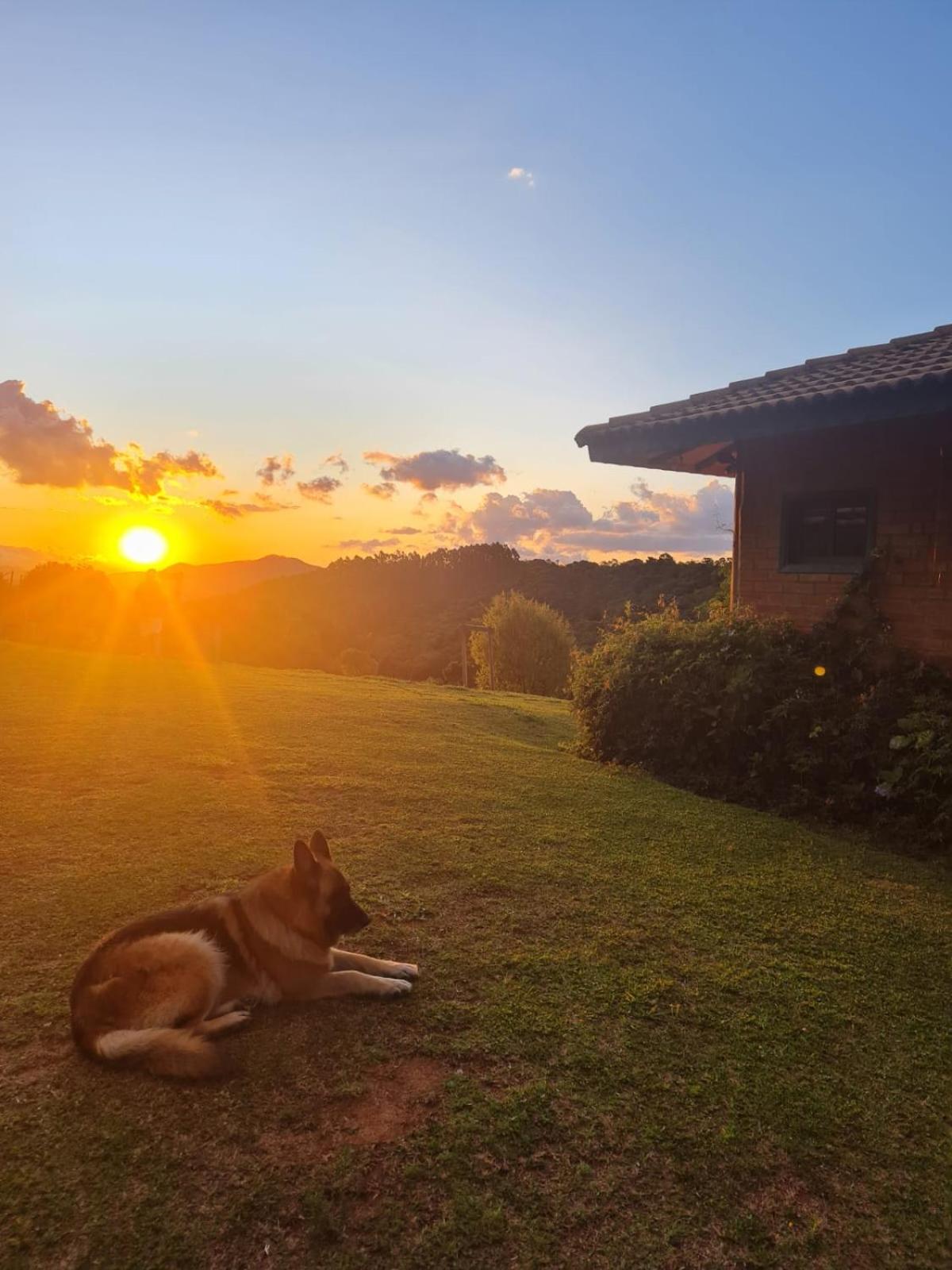 Montanha Home