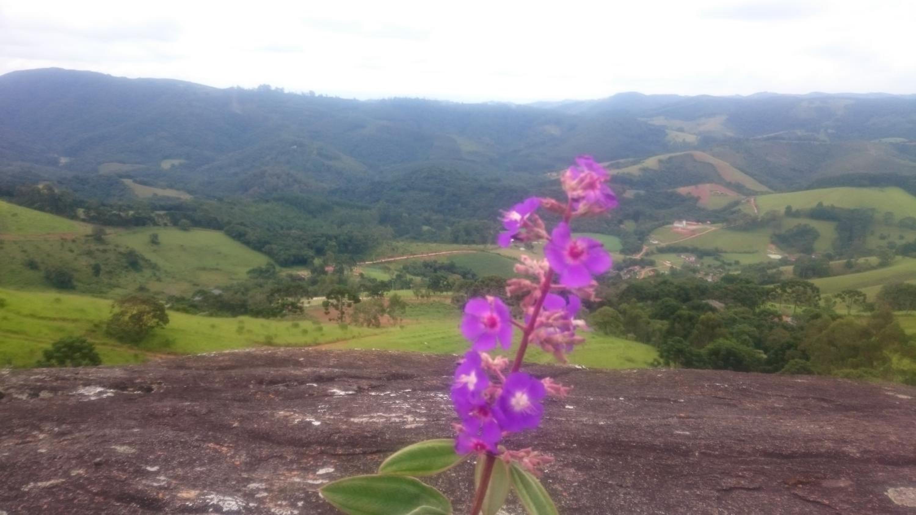 Montanha Home
