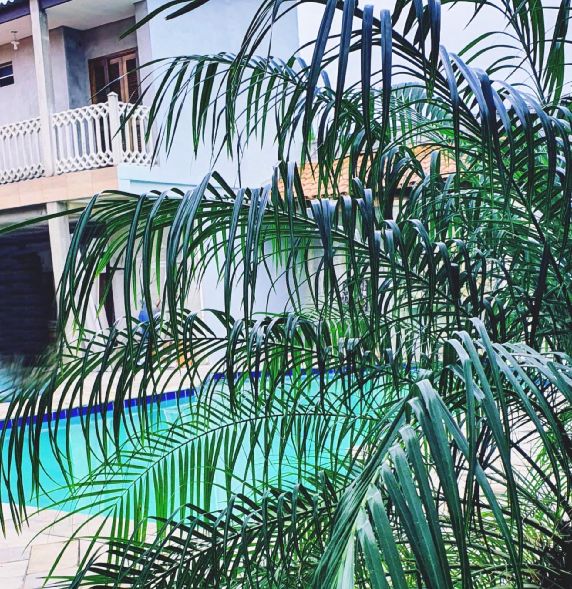 Royal-inn SPA & Pousada