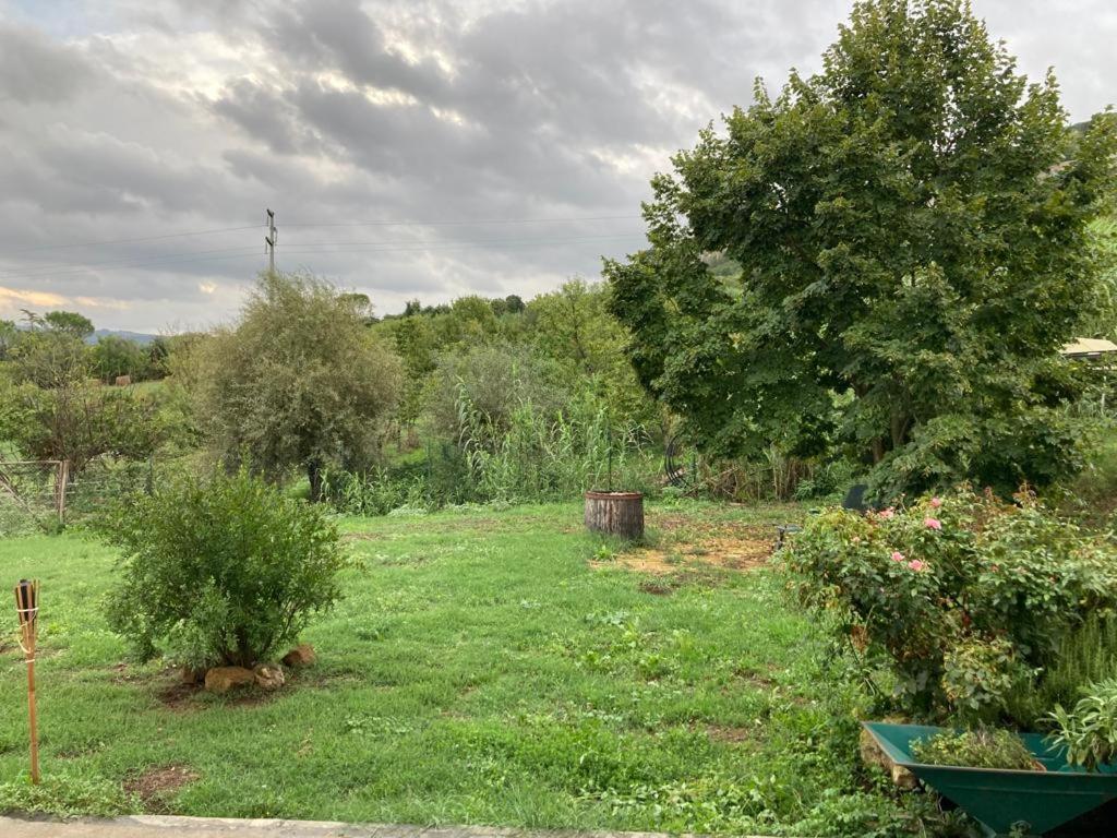 Photo 32