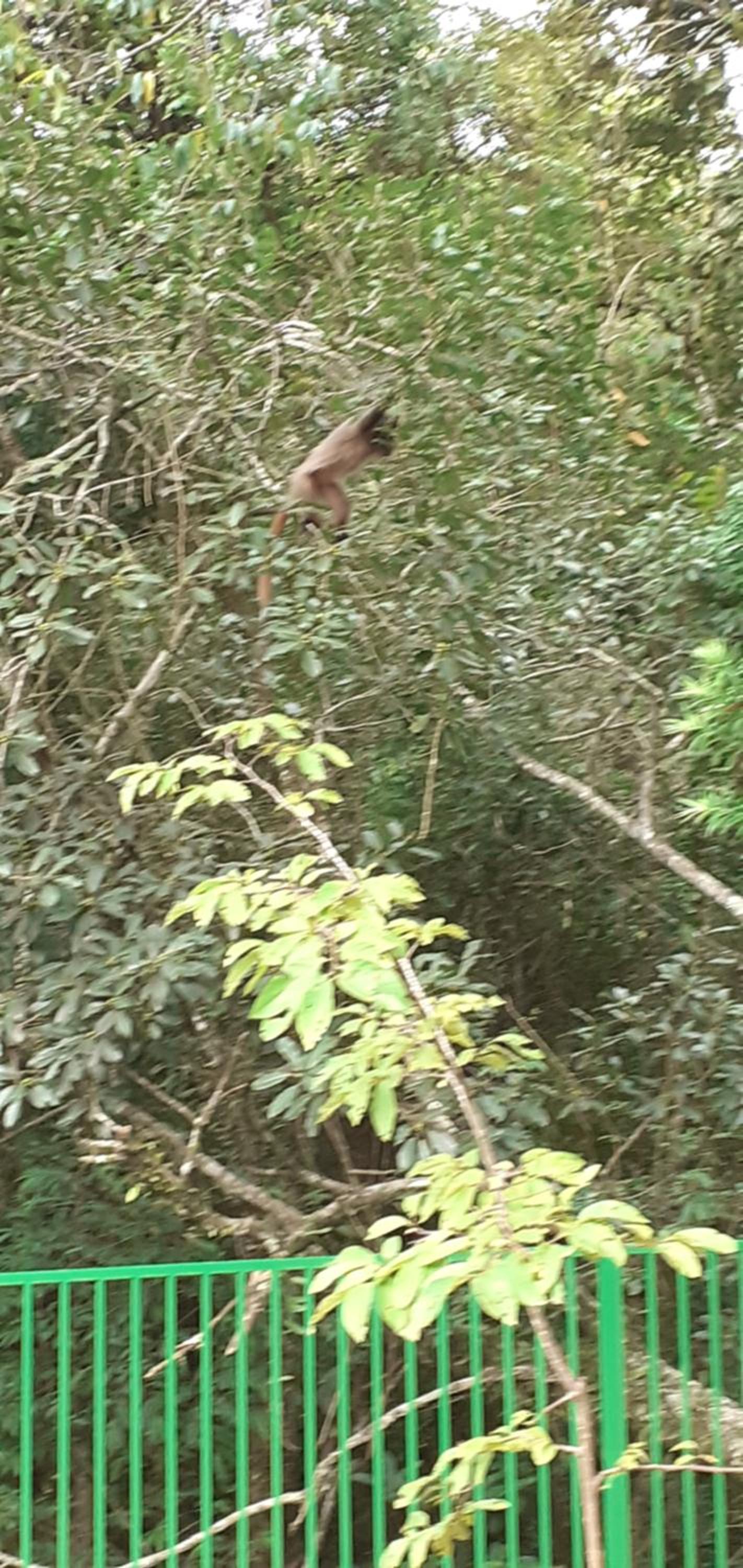 Recanto do Zezé