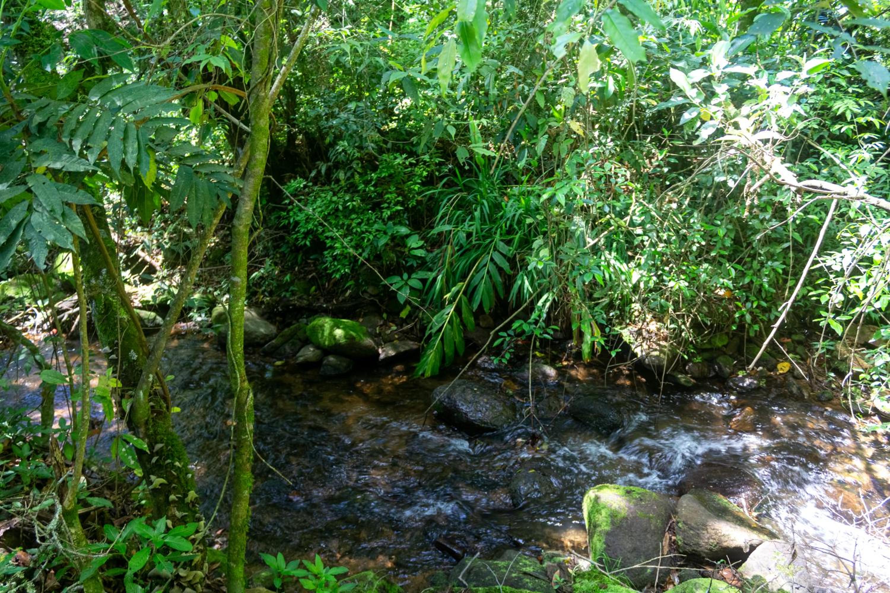 Recanto do Zezé