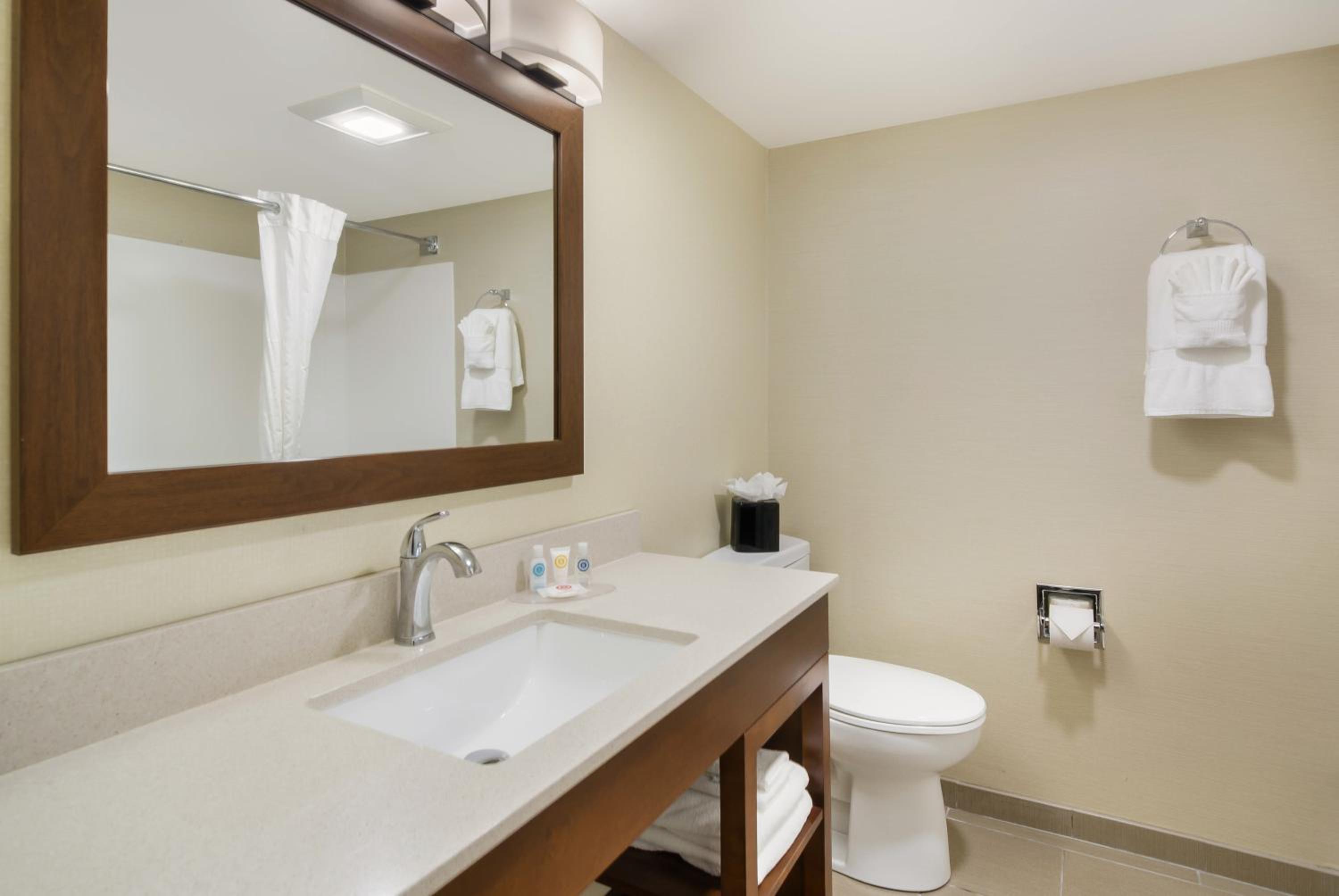 Comfort Inn Lexington Virginia Horse Center