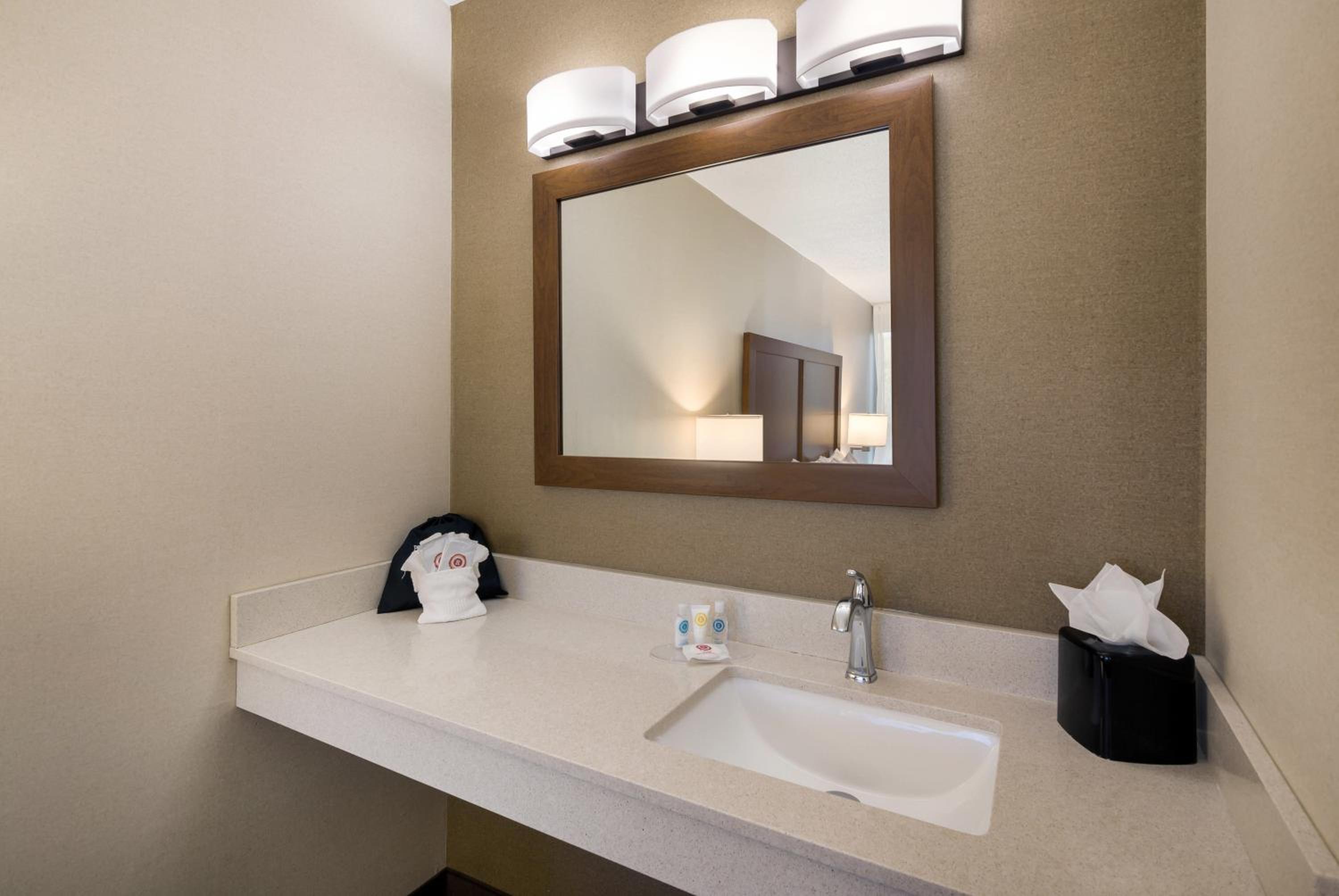 Comfort Inn Lexington Virginia Horse Center
