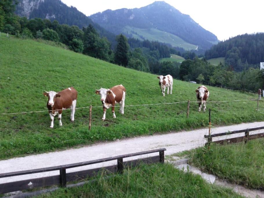 5 Bergpanorama und herrliche alpinen Almlandschaft für absolute Nichtraucher