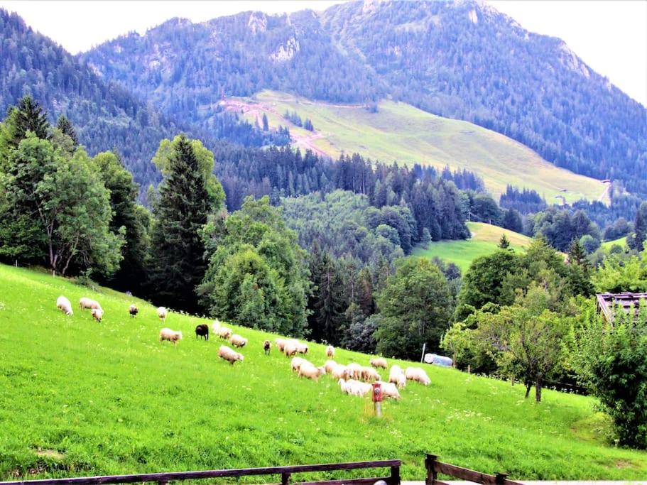 5 Bergpanorama und herrliche alpinen Almlandschaft für absolute Nichtraucher