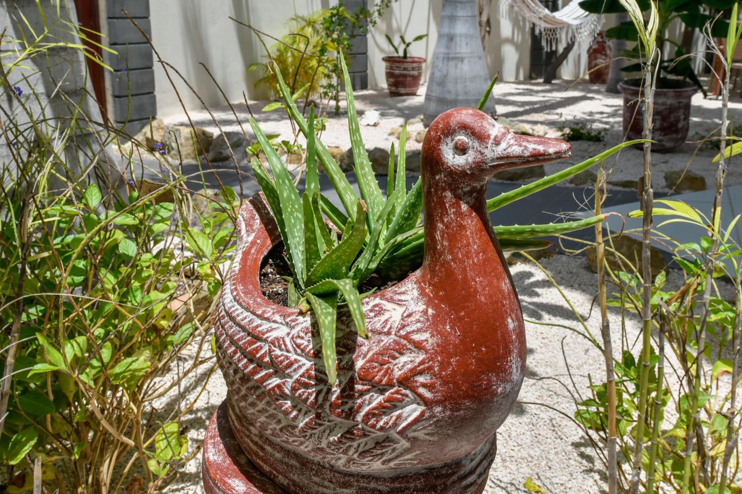 Boutique Hotel Swiss Paradise Aruba Villas and Suites