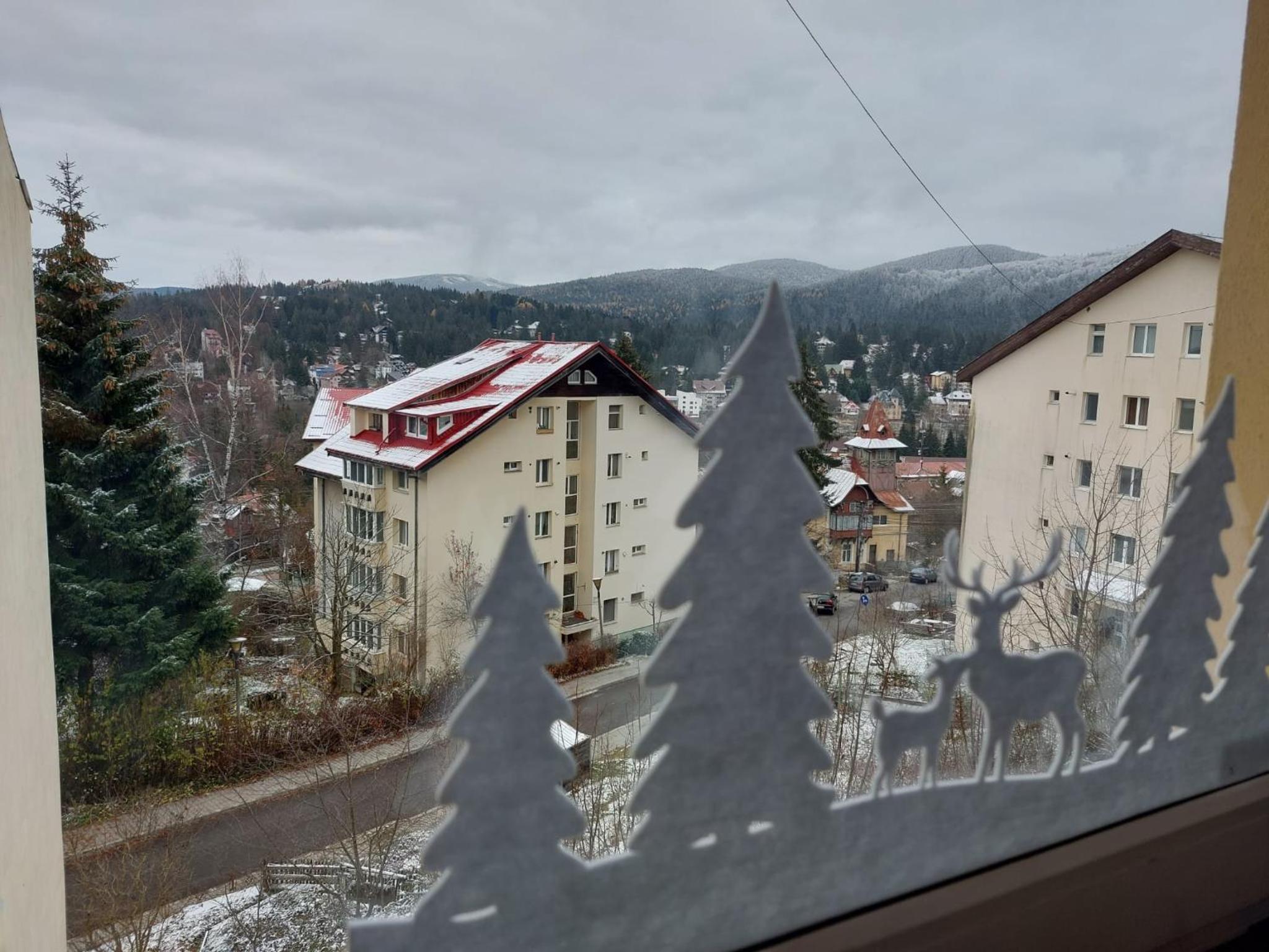 Hellen Studio Predeal view 4