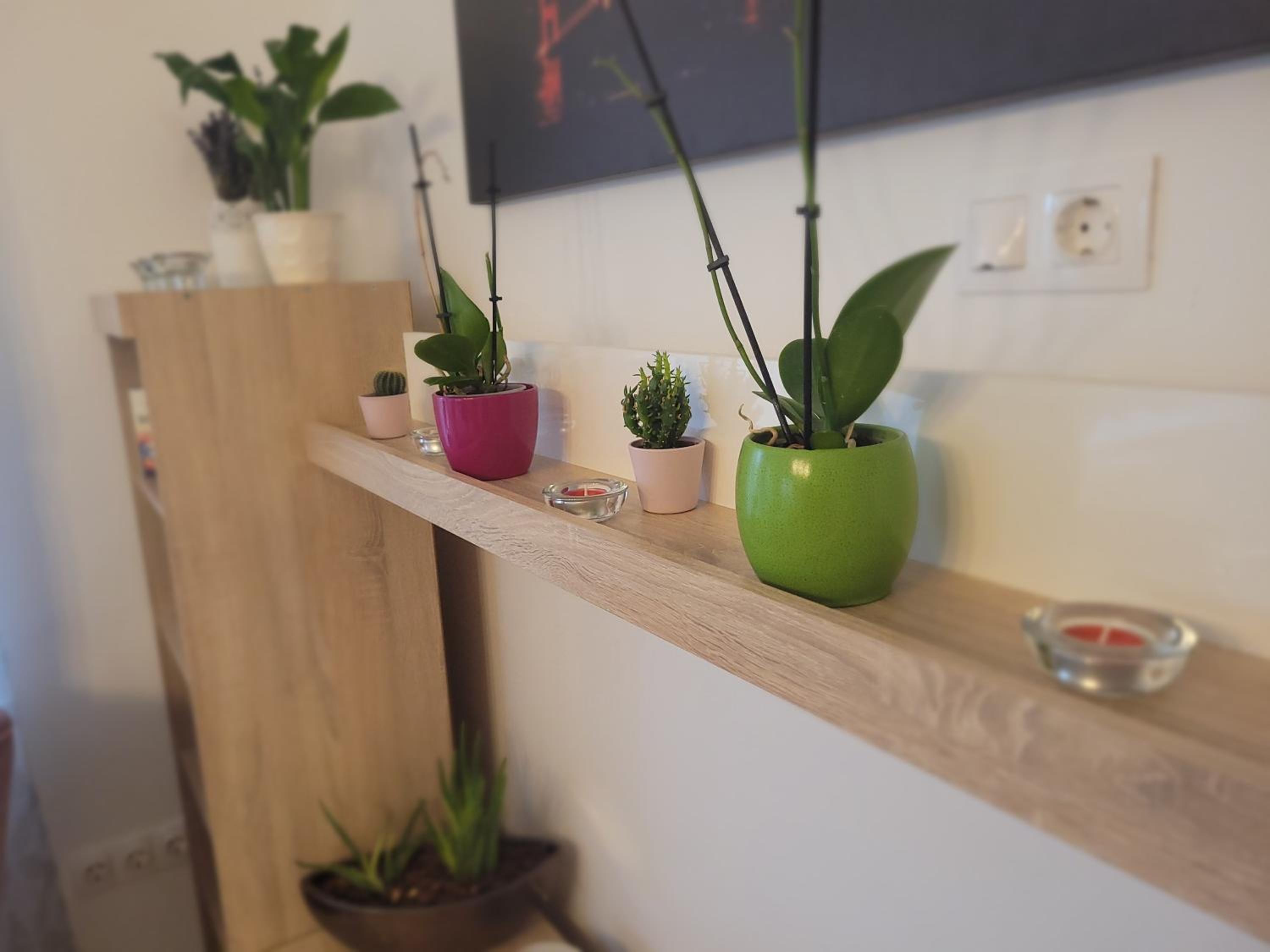 Rosé Apartment