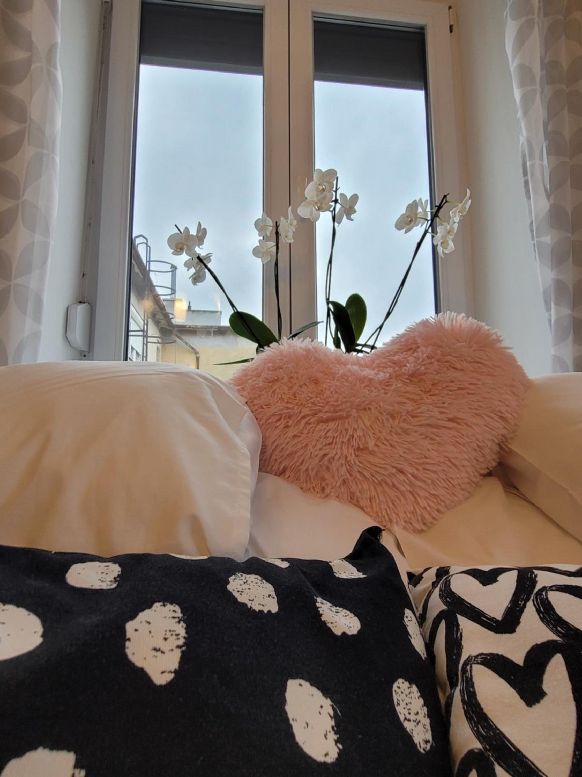 Rosé Apartment