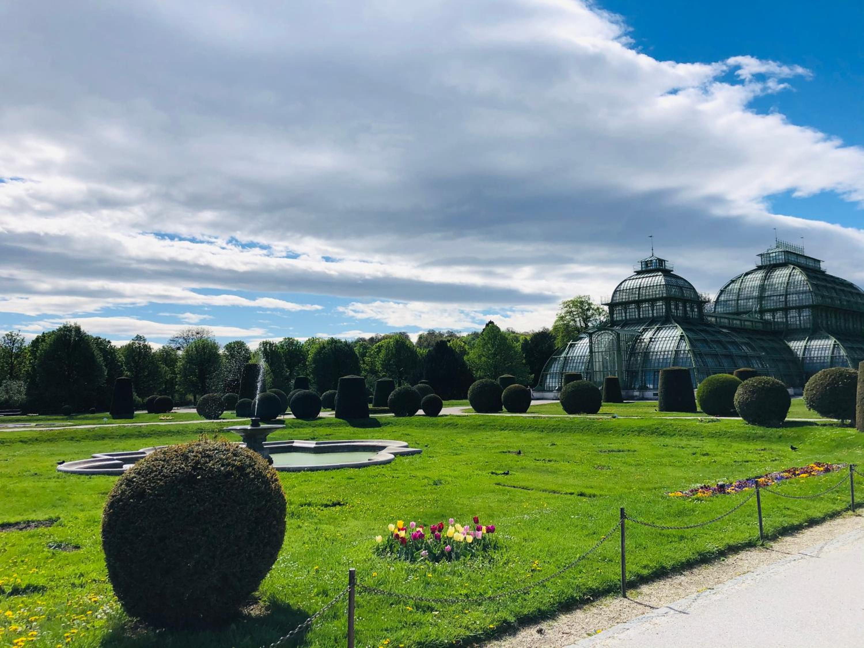 Lovely nest! Just beside SCHÖNBRUNN PALACE and ZOO!