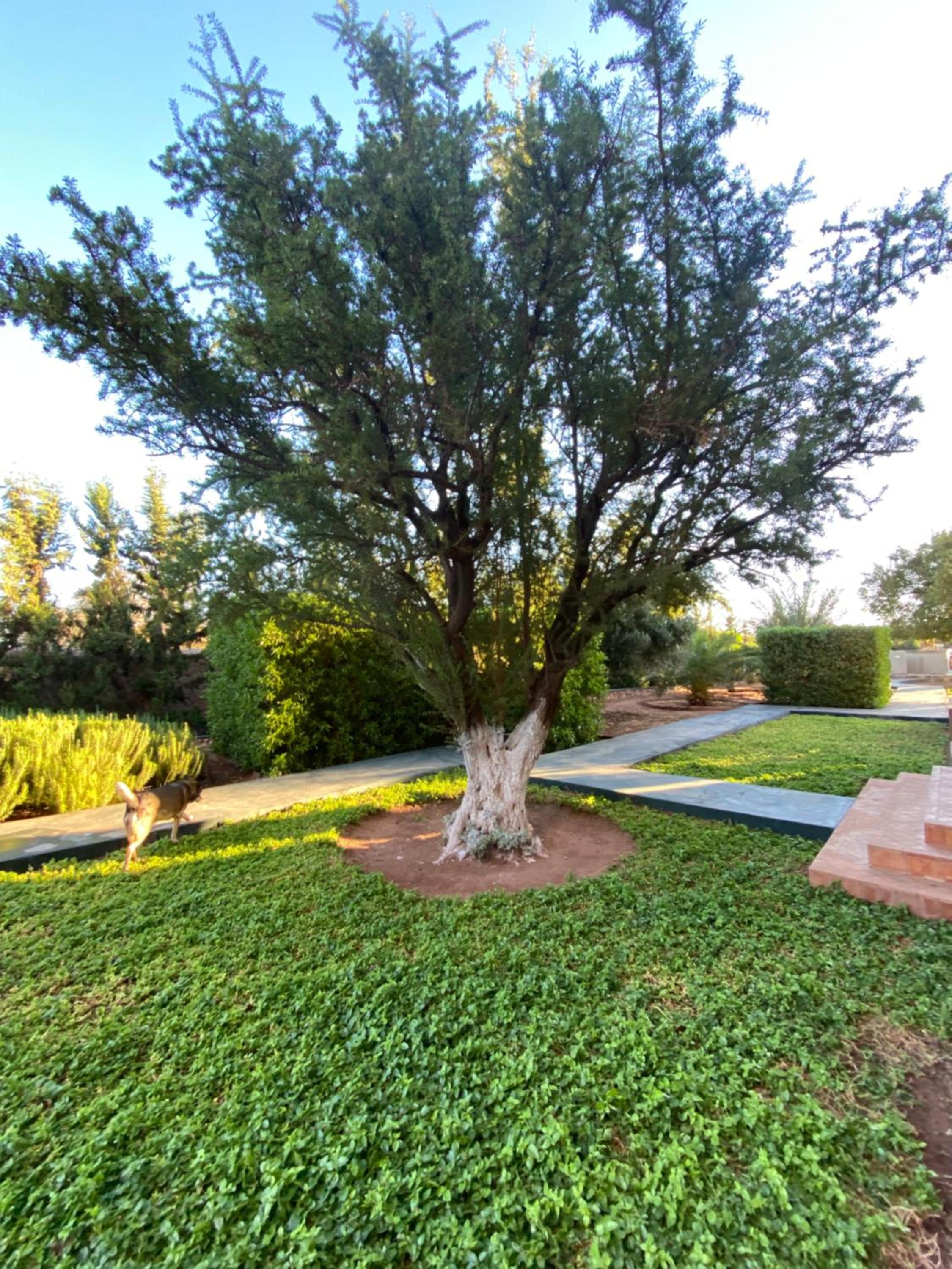 Photo 13