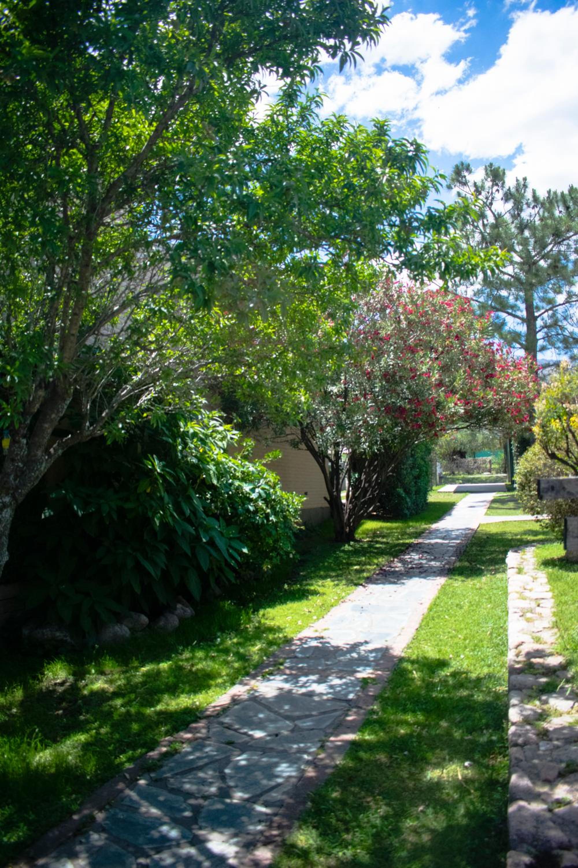 Cabañas Monteolivos