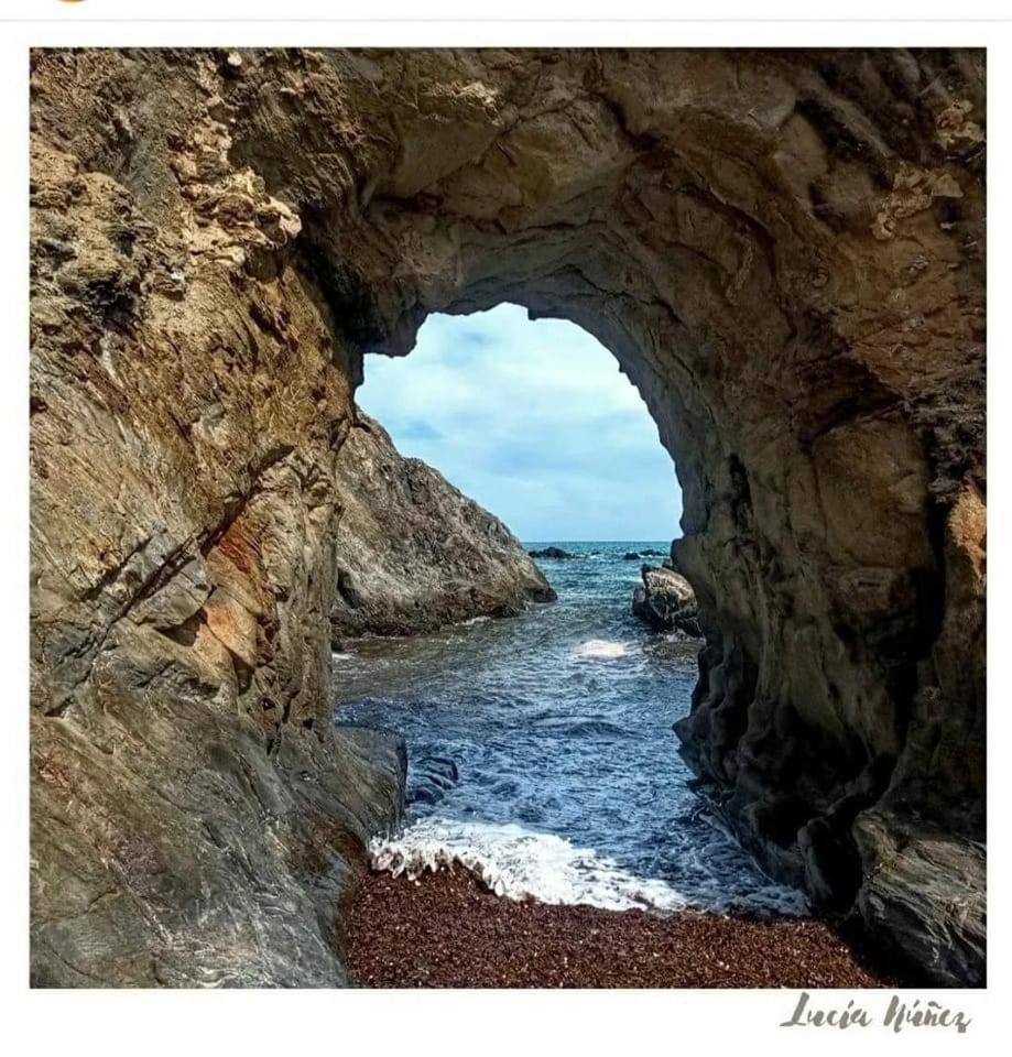 Photo 26