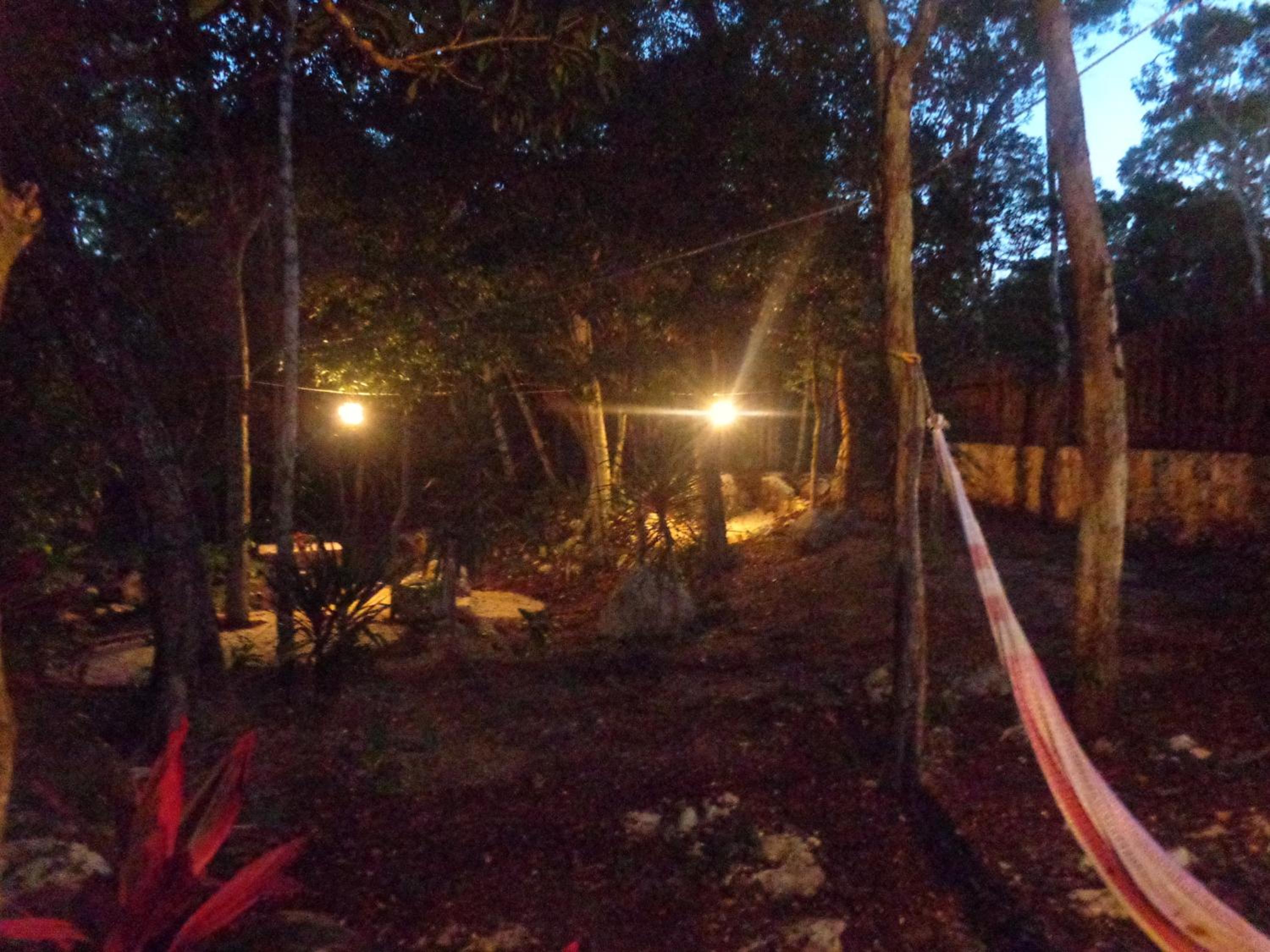 Casa Mango