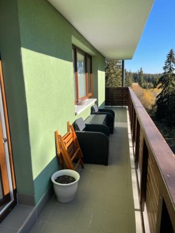 Family apartman view 3