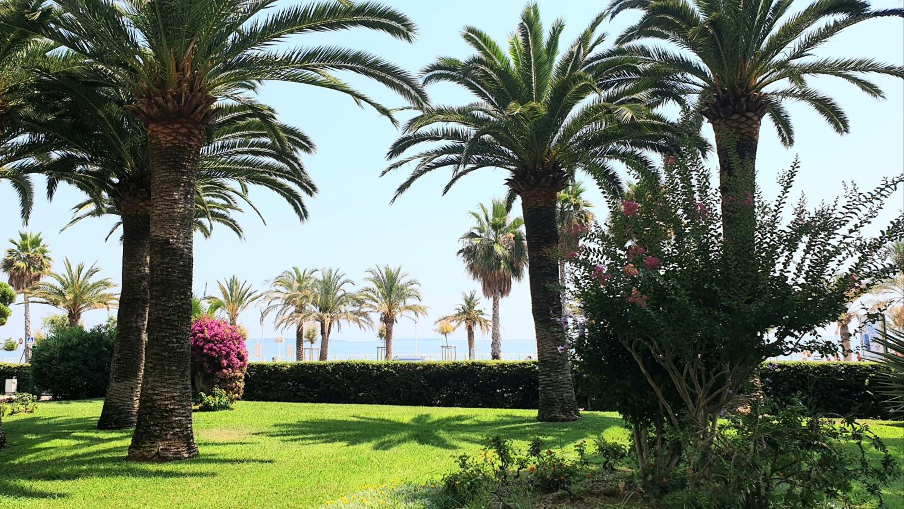 Garden and beach sea view apartment Cannes photo 2