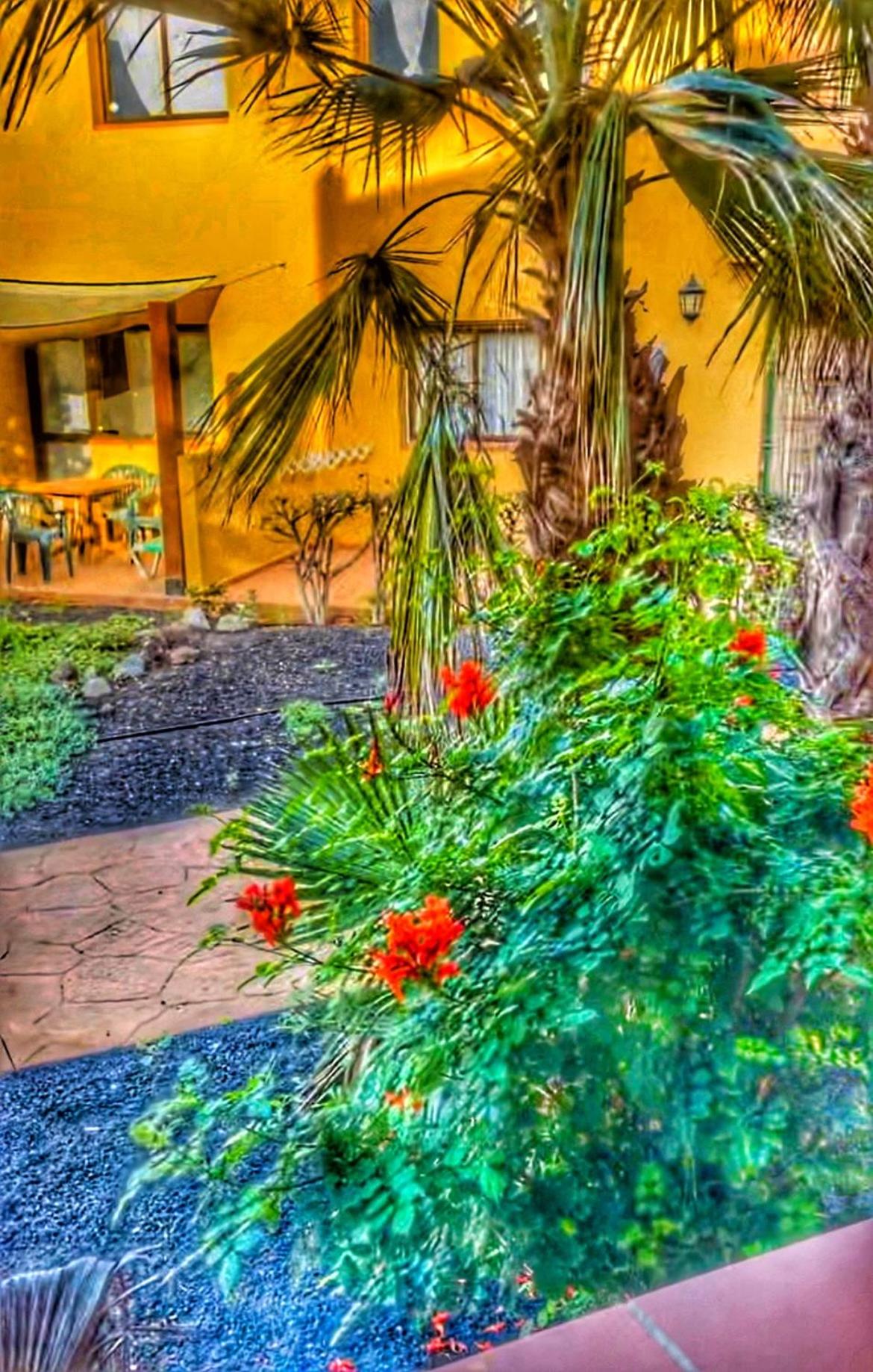 Paradise House