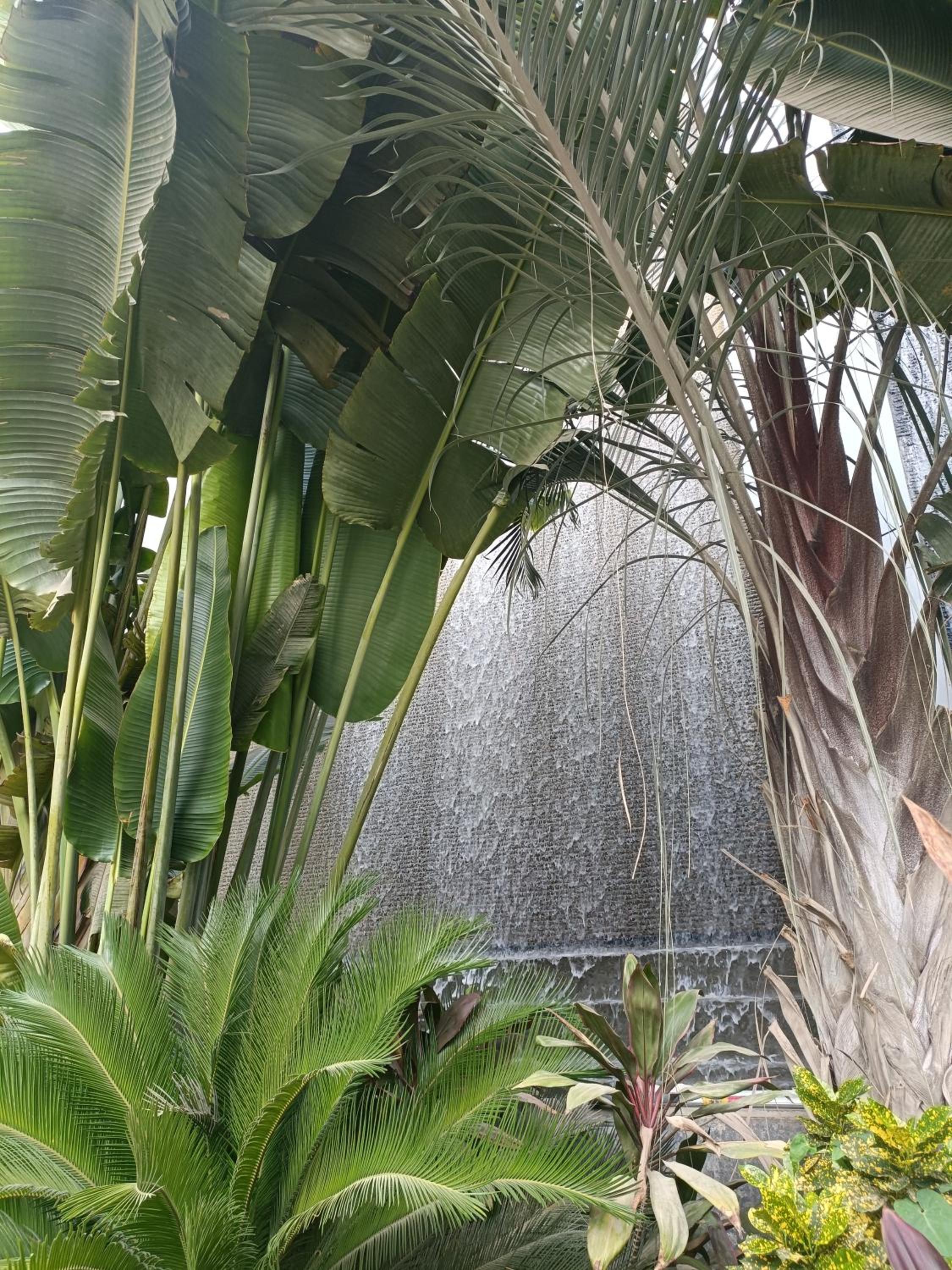 Sheraton Ocean 202 - Without Pool access