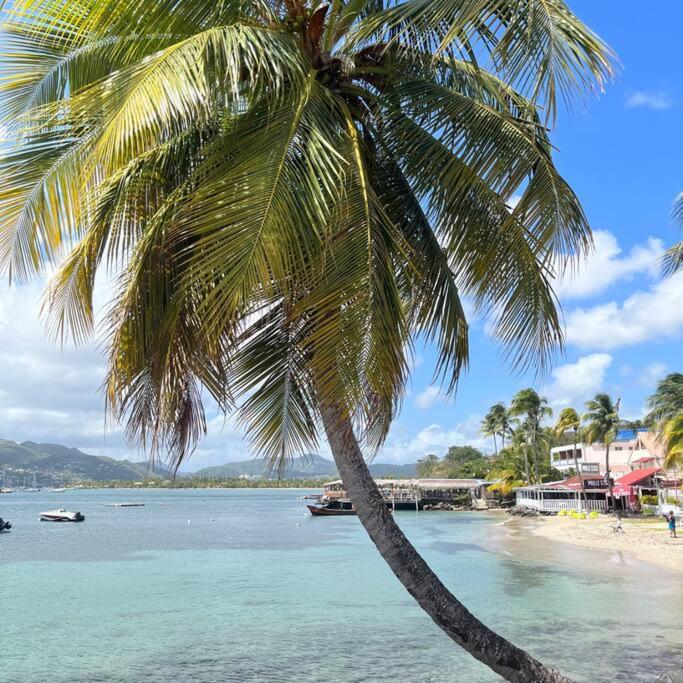 Studio La «KAZ’ À COCO» Anse Caritan