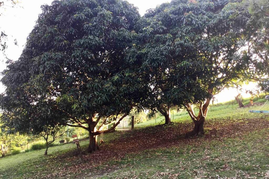 Green Hill Cottage, Heart of Noosa Hinterland