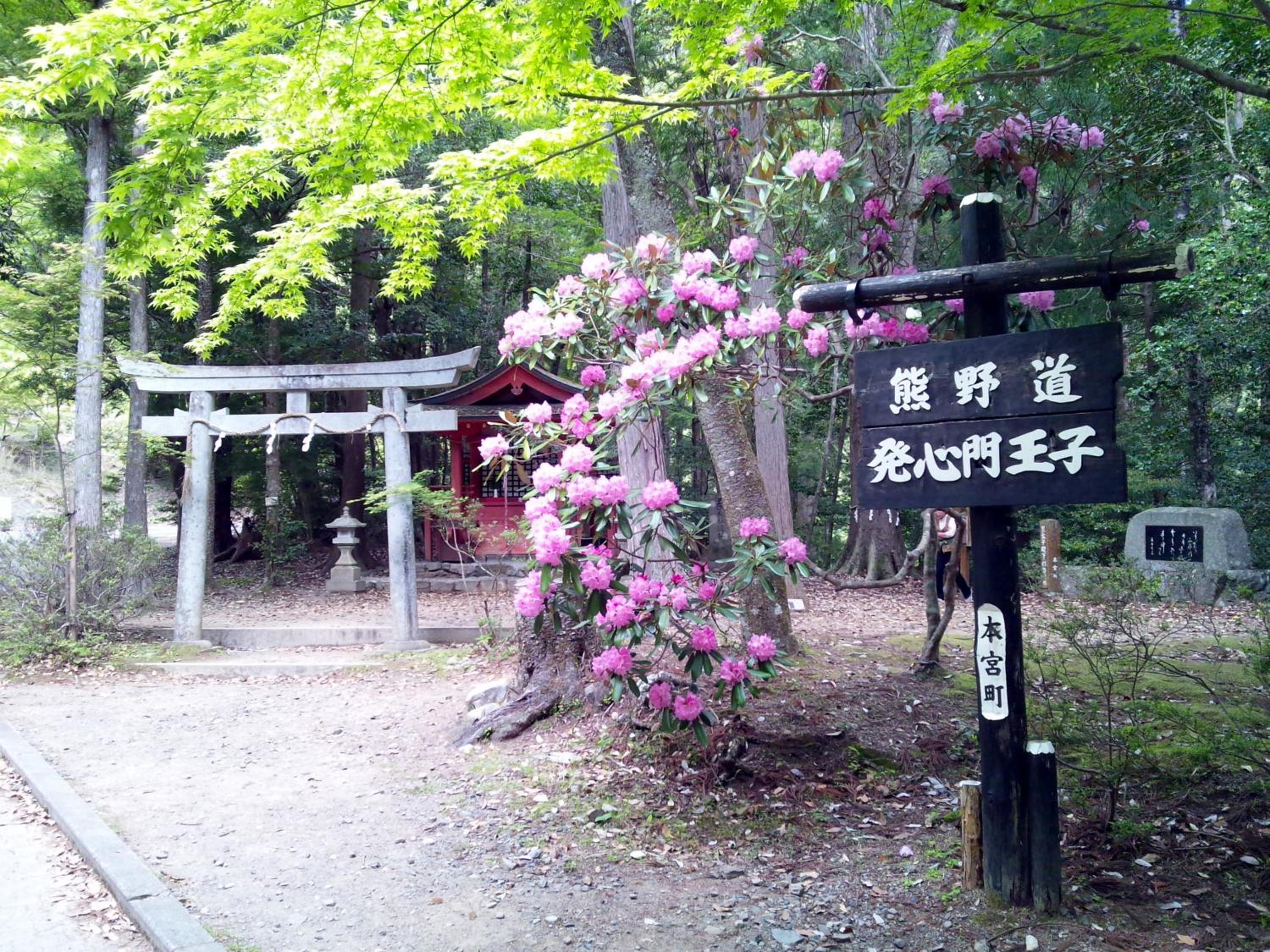 Watarase Onsen Hotel Sasayuri