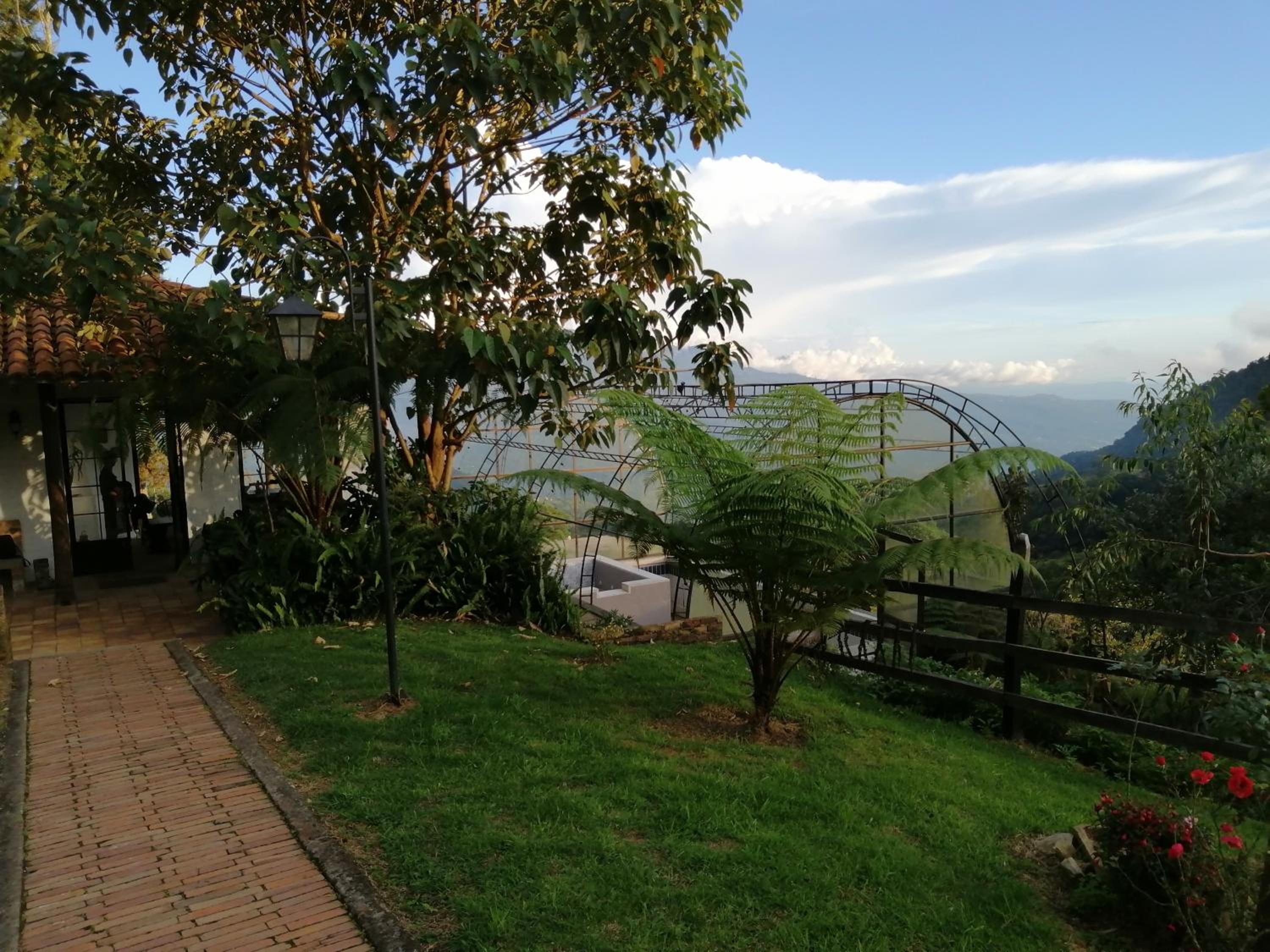 Finca Verde Vivo
