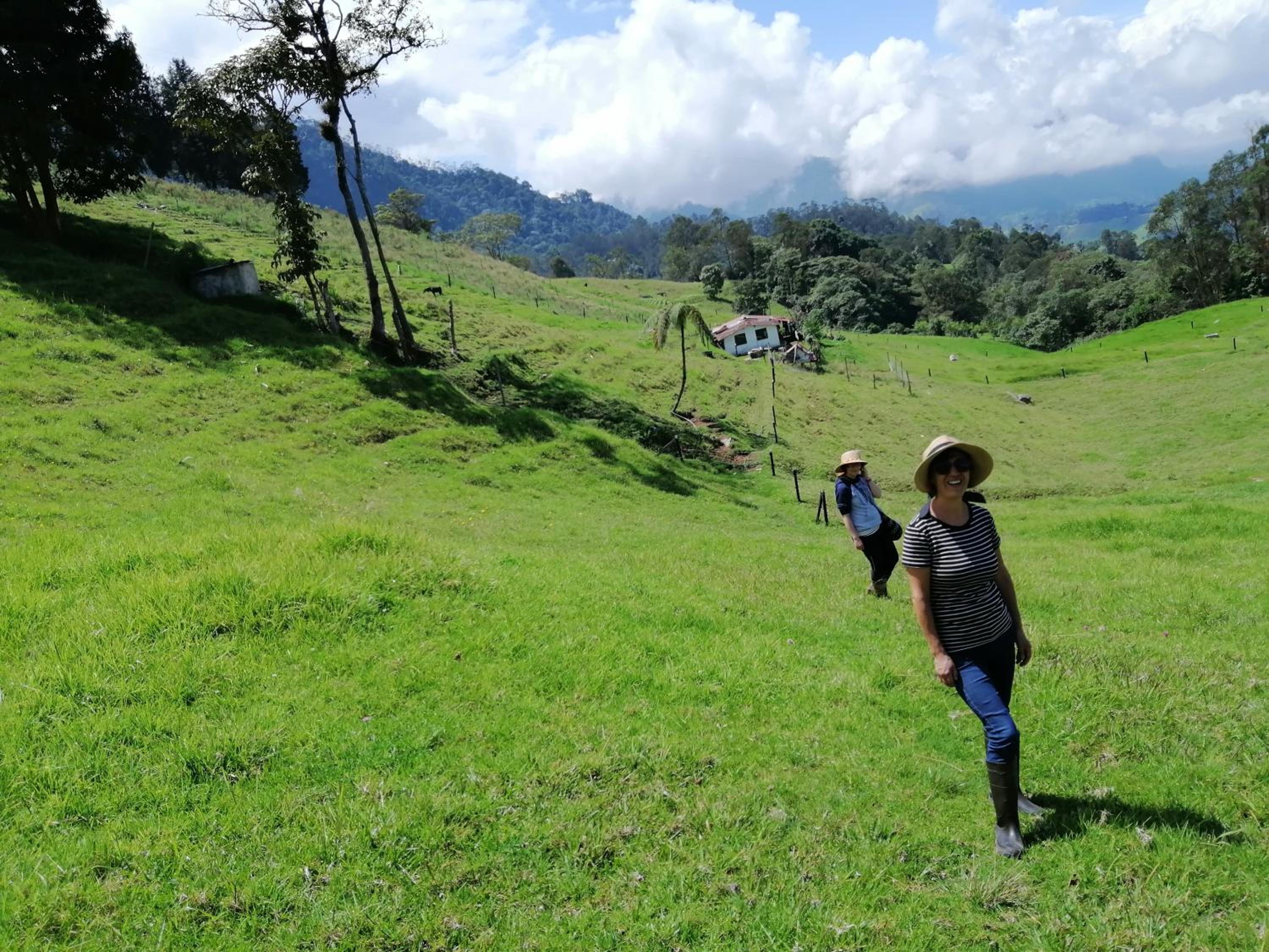 Finca Verde Vivo