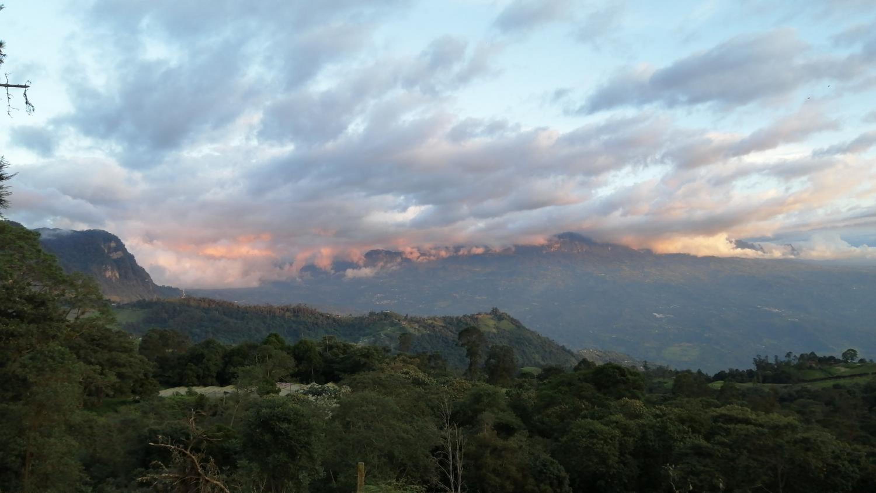 Finca Verde Vivo