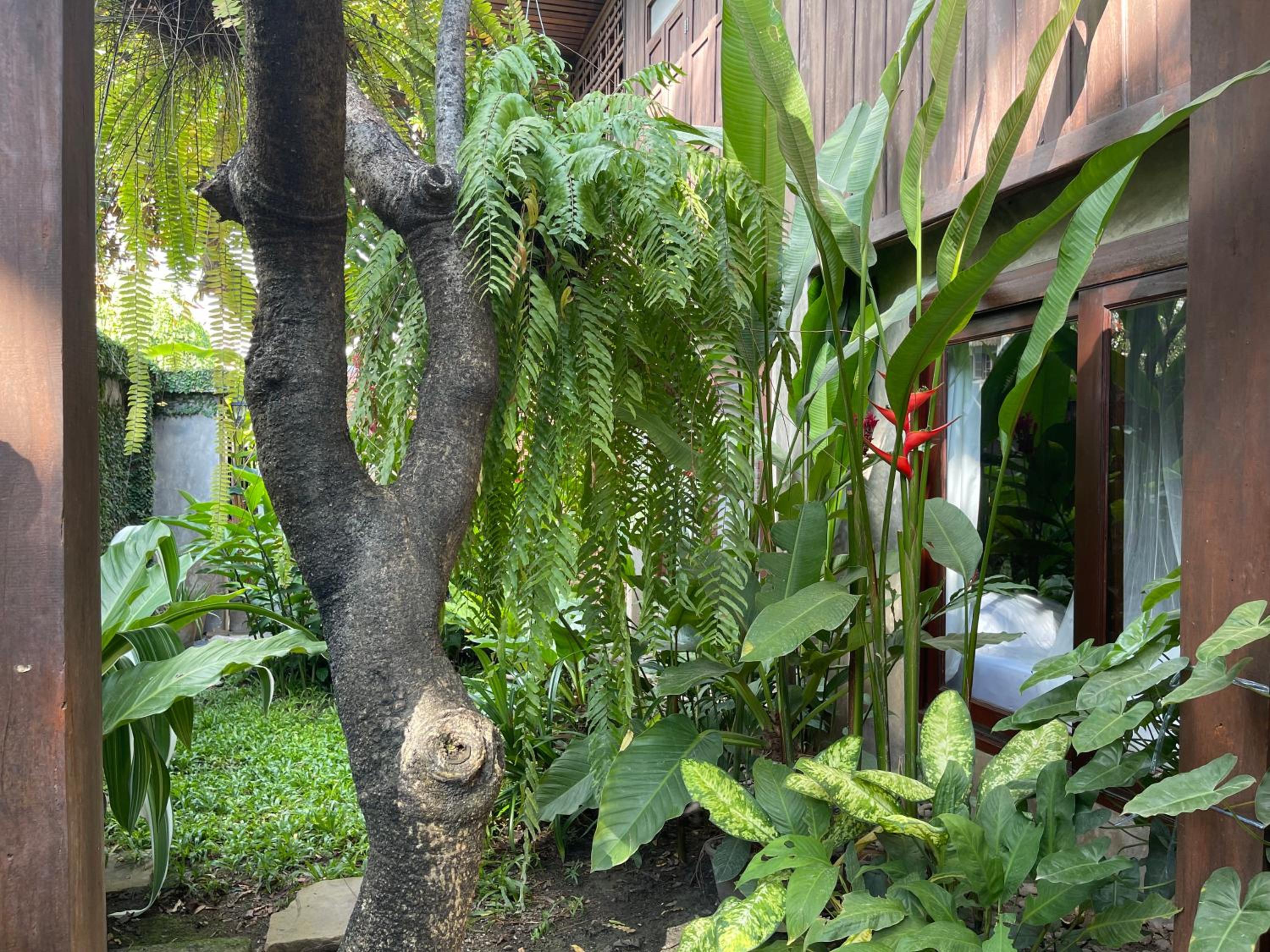 Chiang Maan Residence