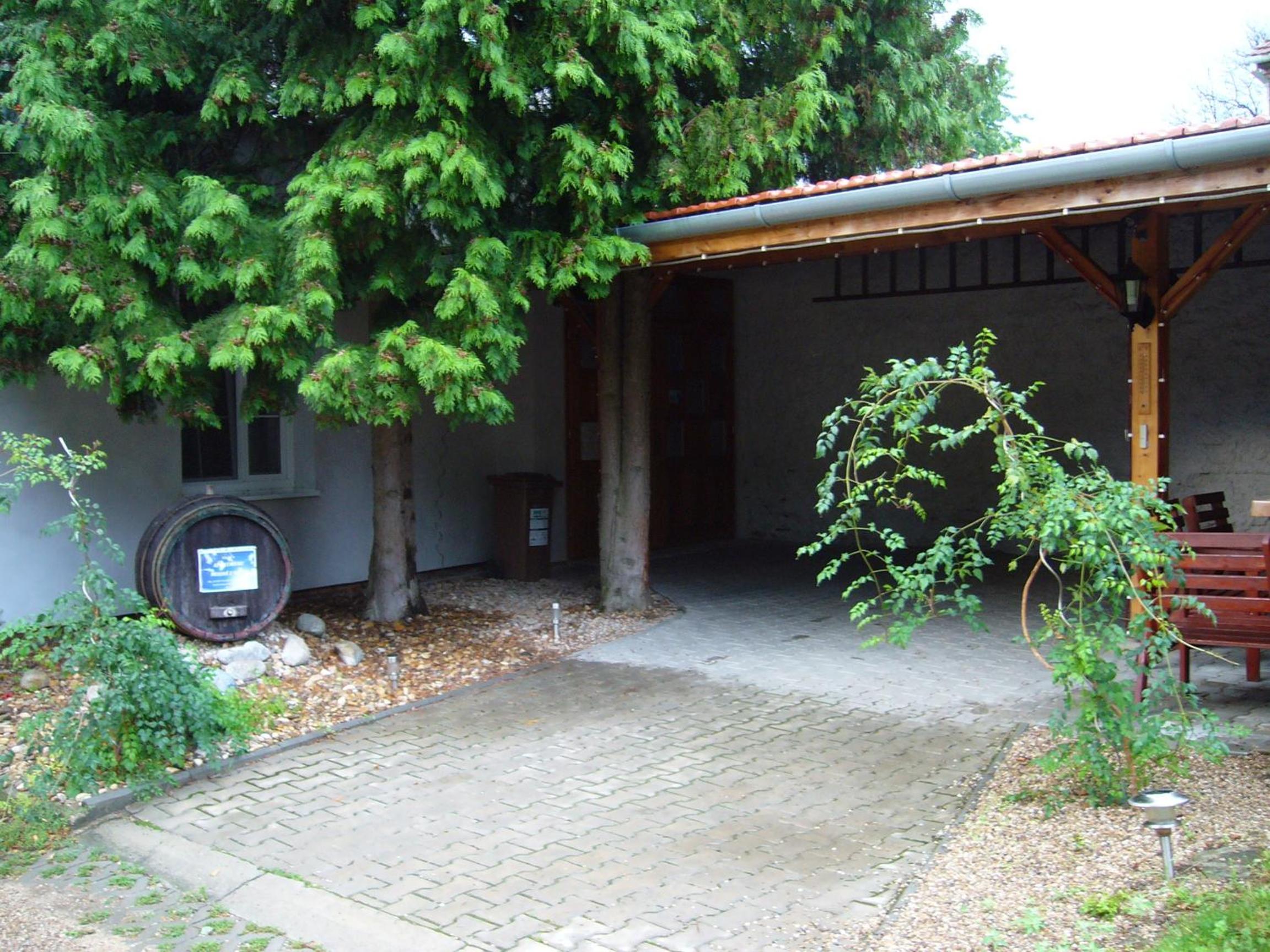 Photo 16
