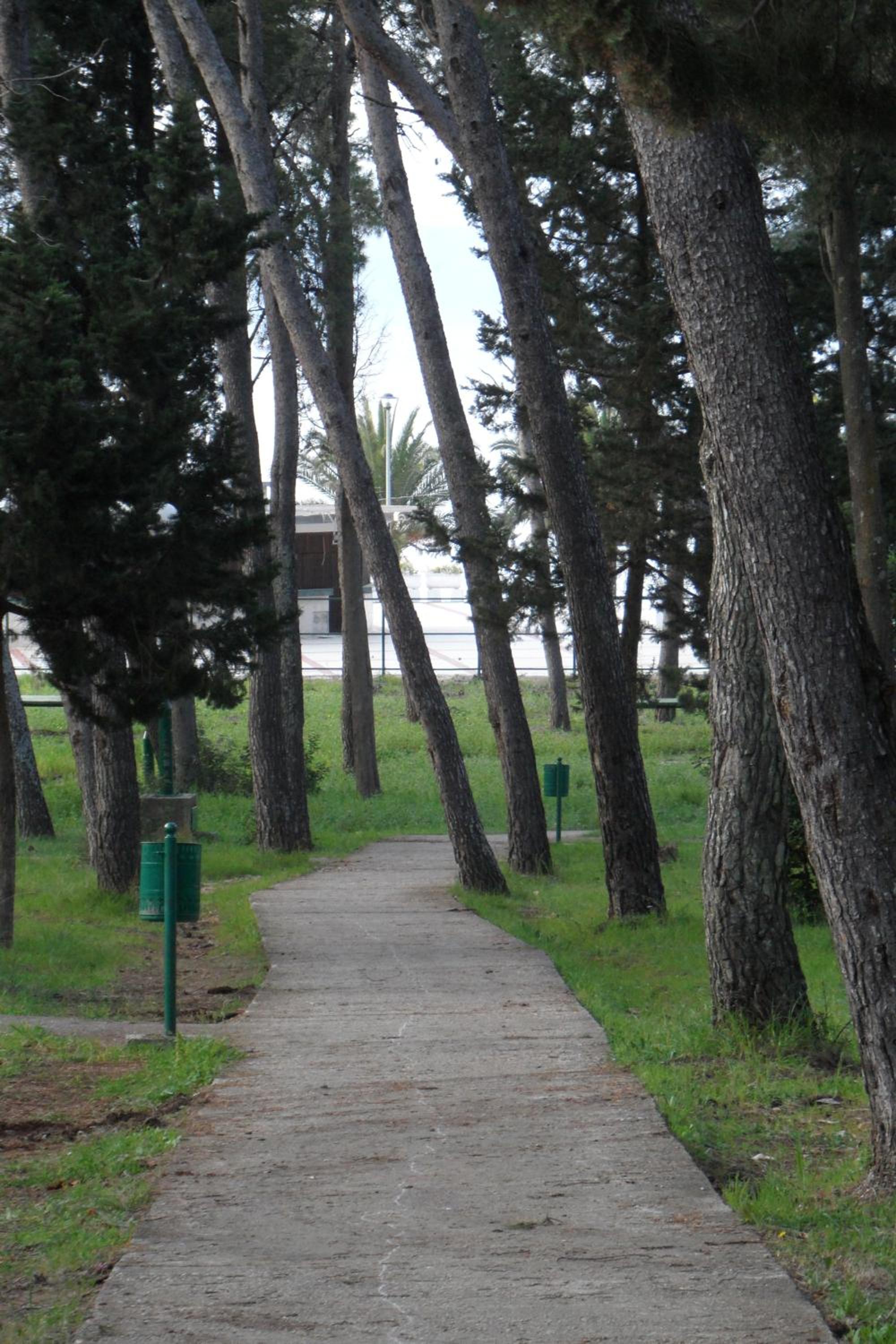 Photo 41