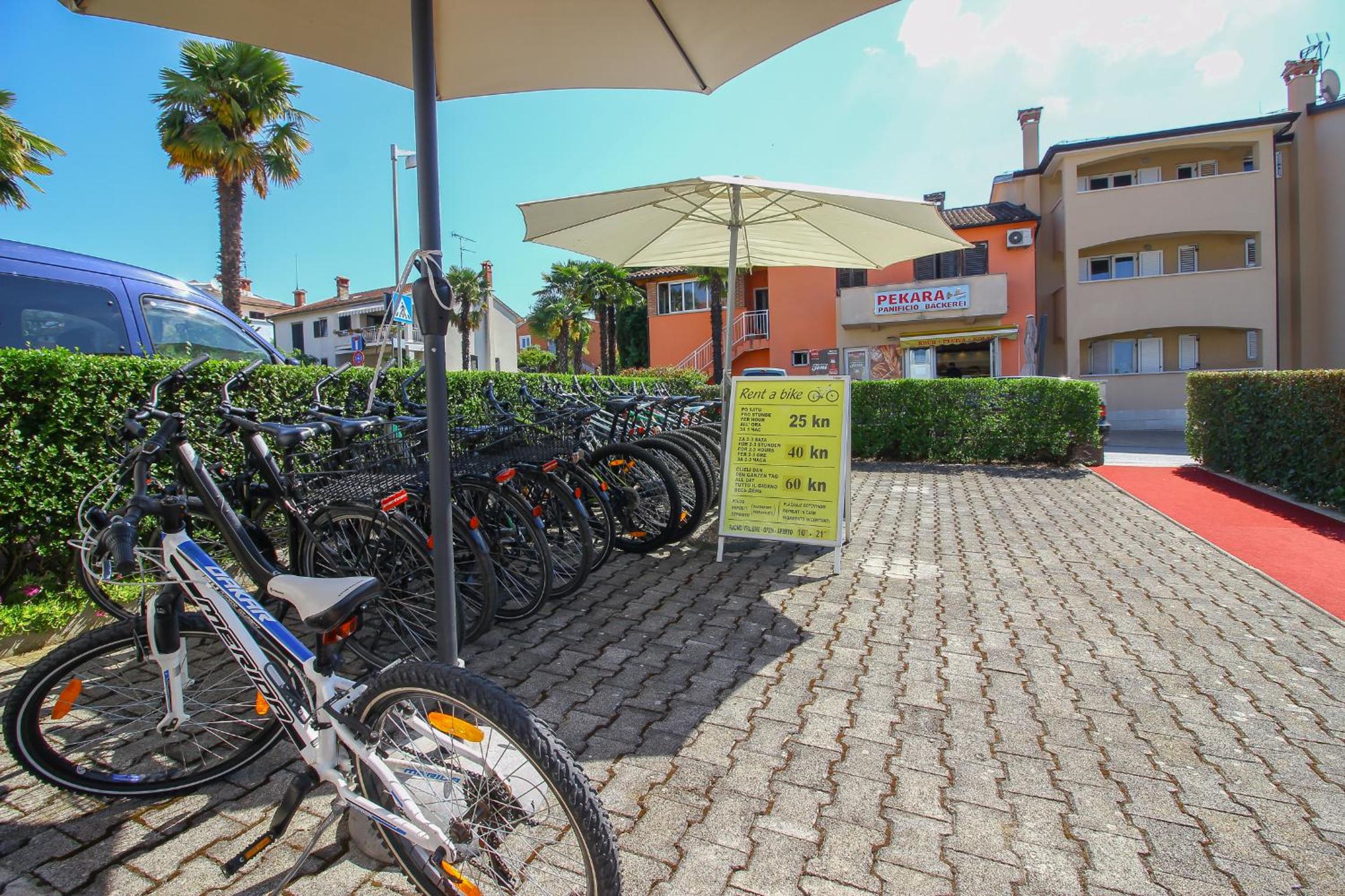 activities & amenities