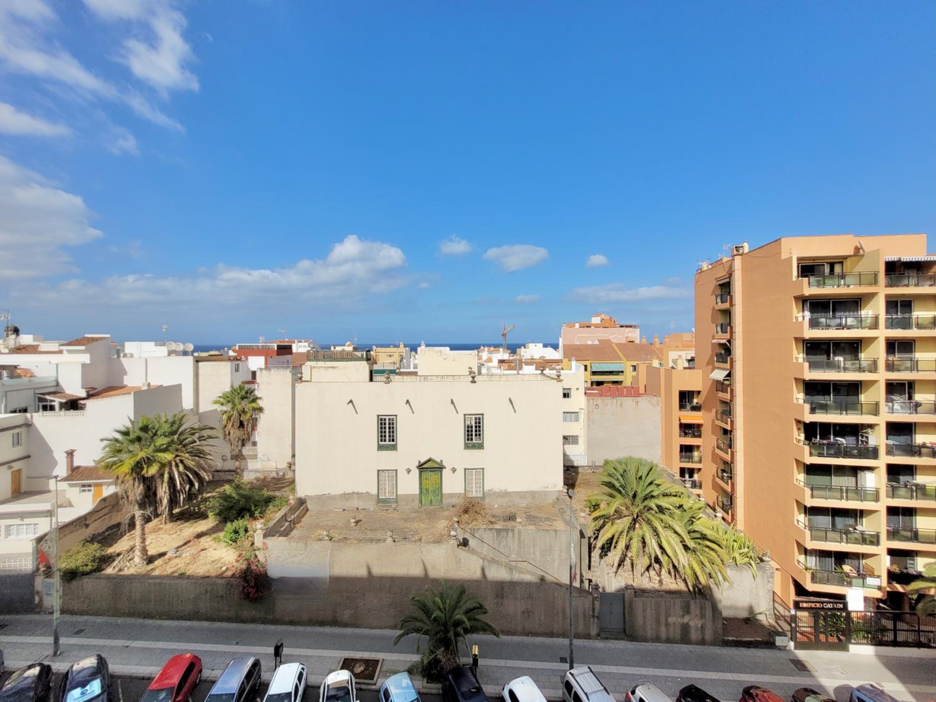 Studio Palmera