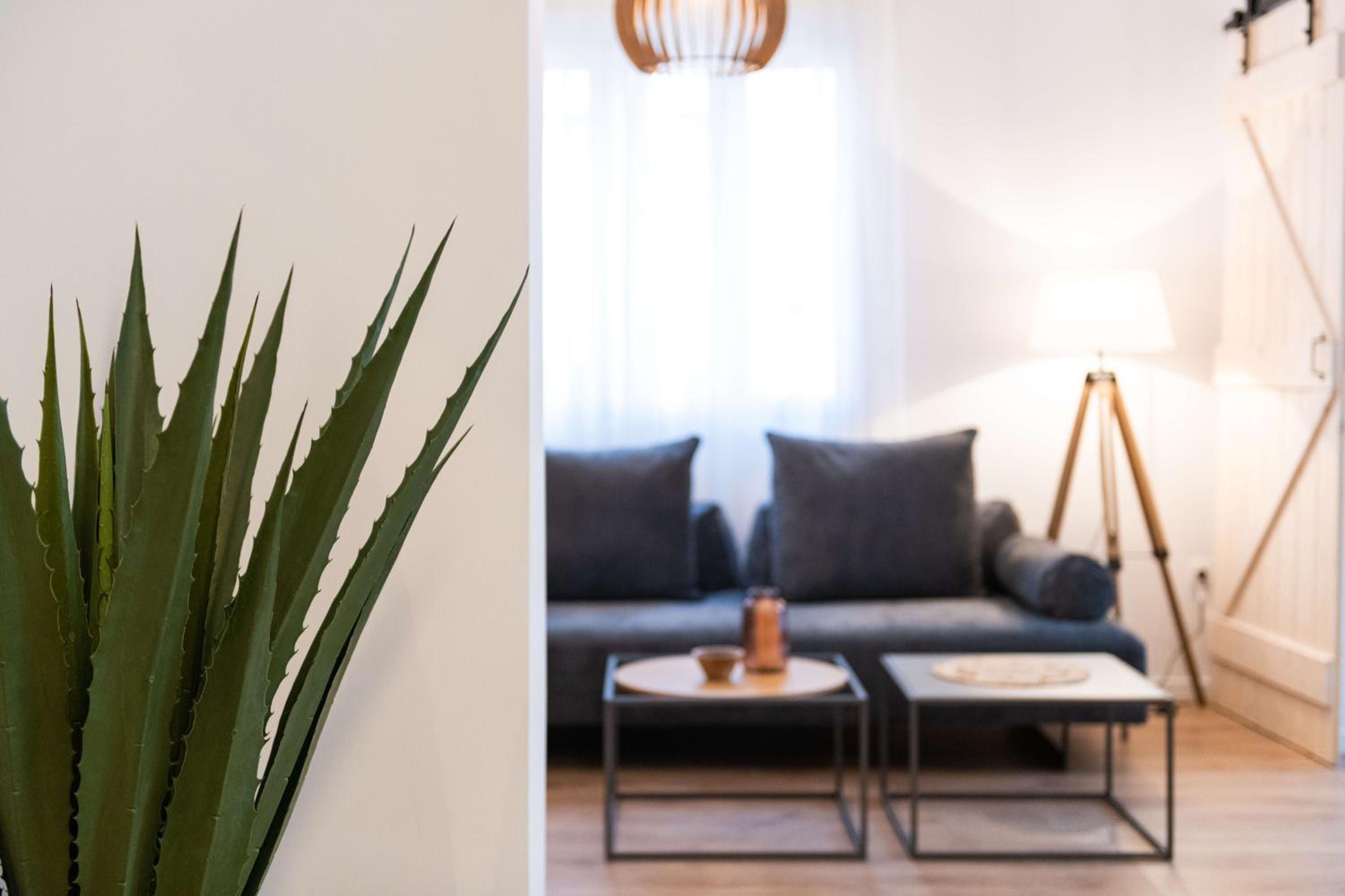 Modita Boutique Apartments