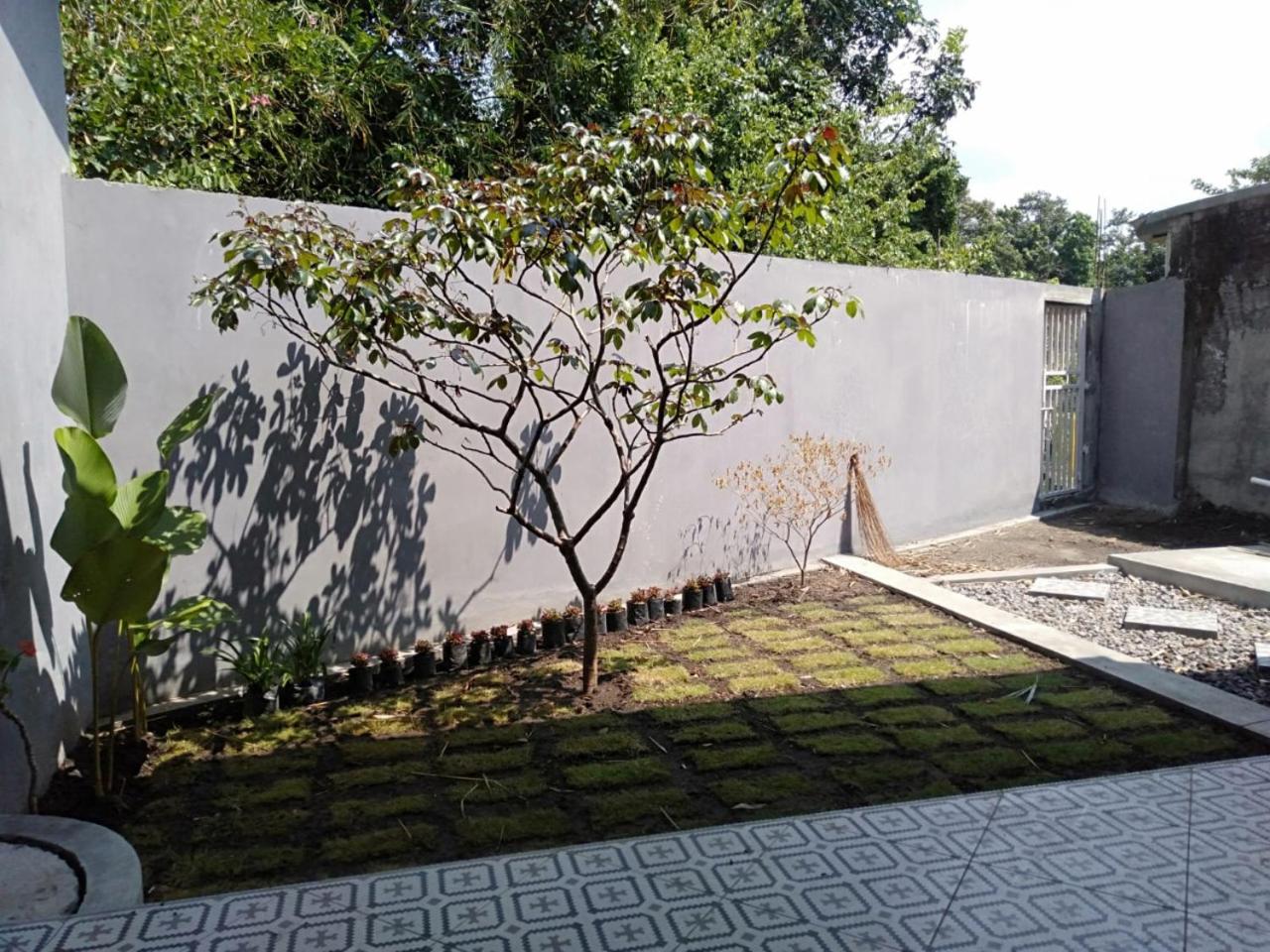 Omah Ringin Homestay Jogja