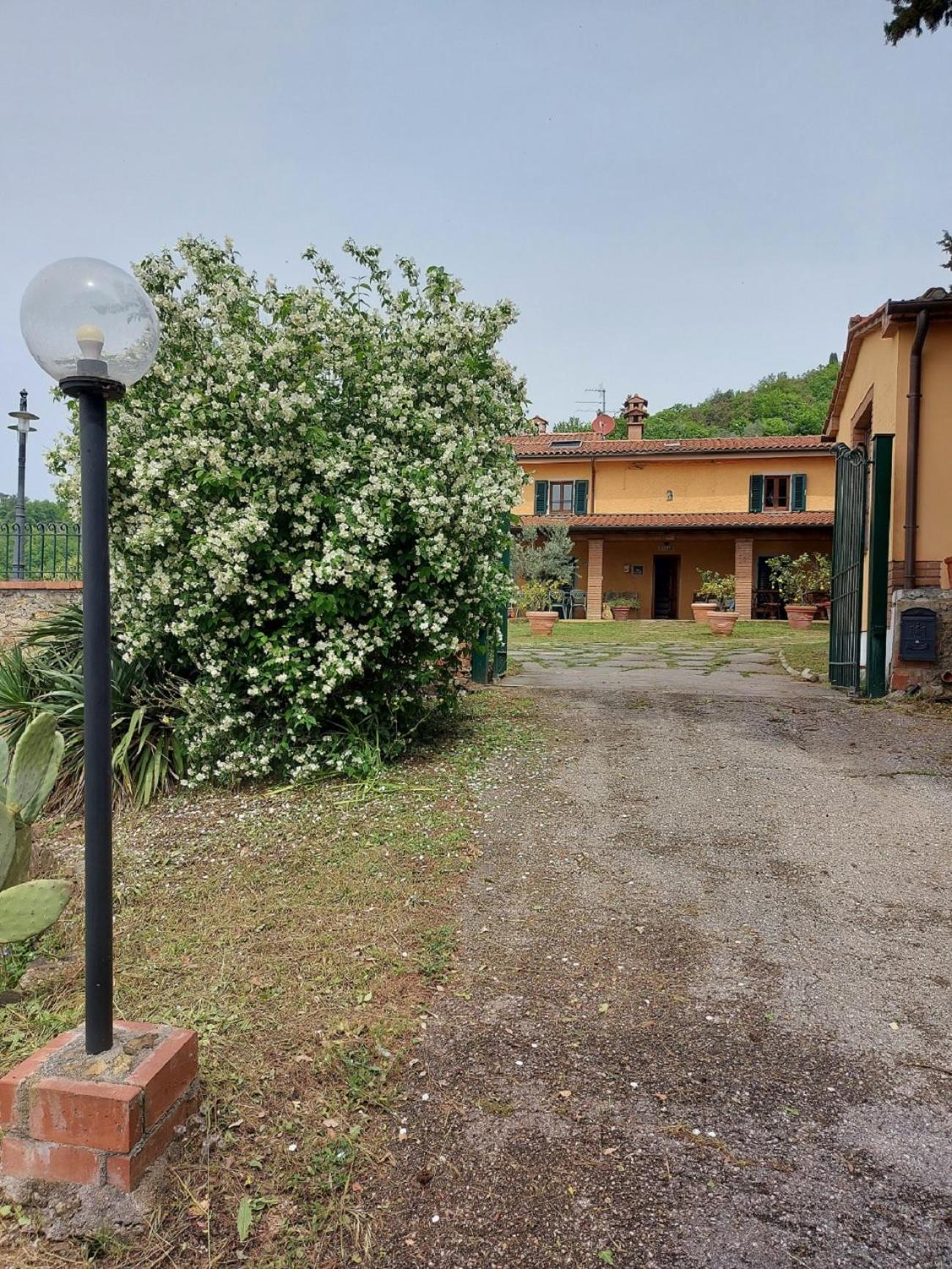 Villa Pilar in Toscana con piscina ultrapanoramica view 5
