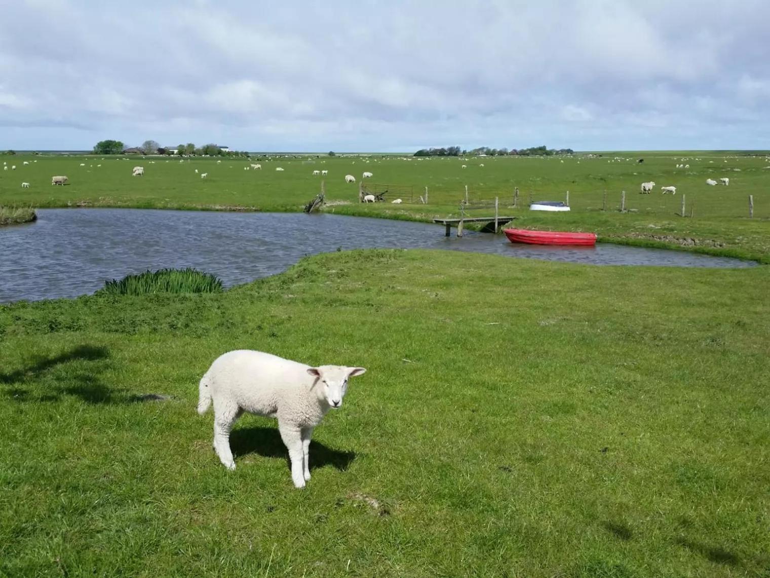 Photo 30