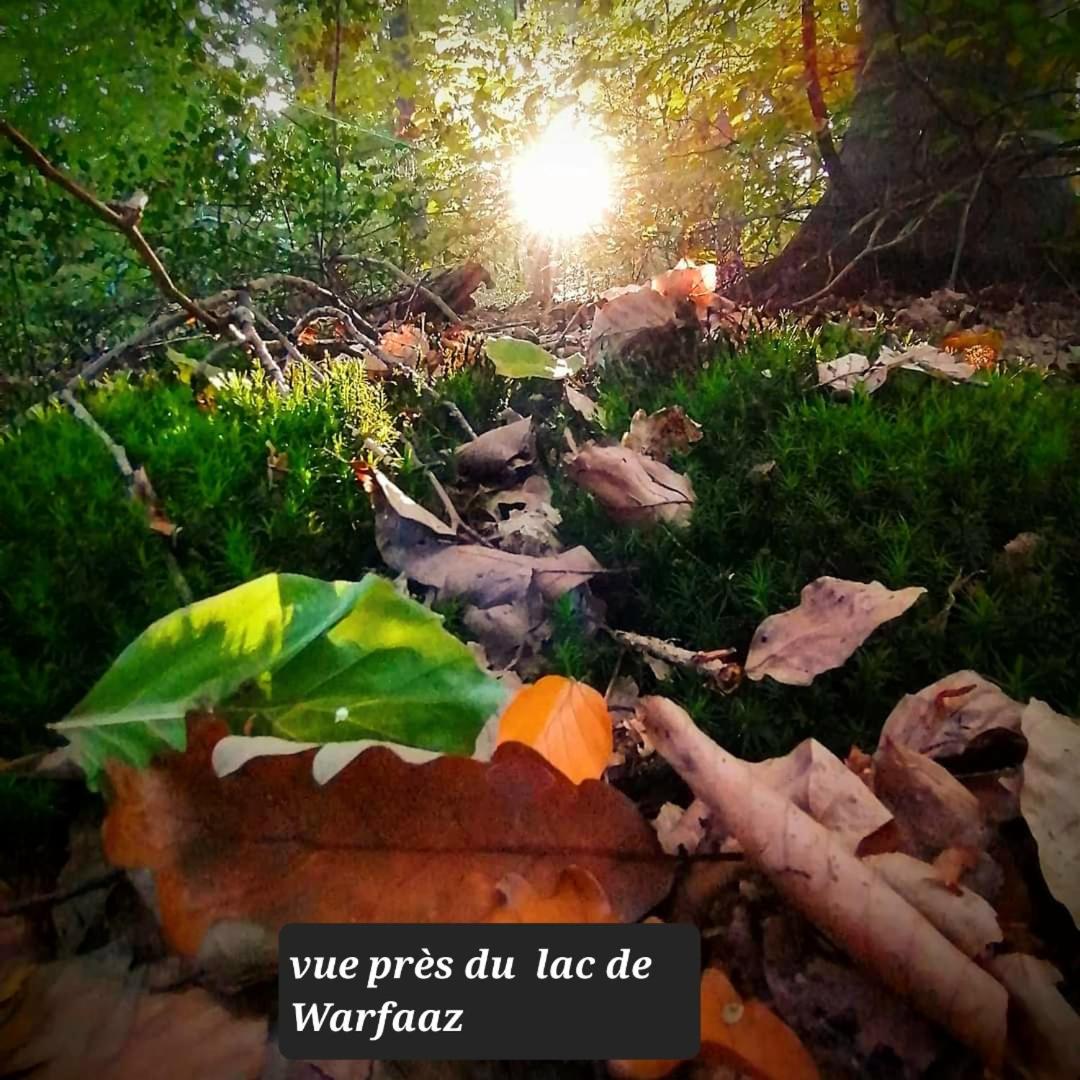 La Mara Élo
