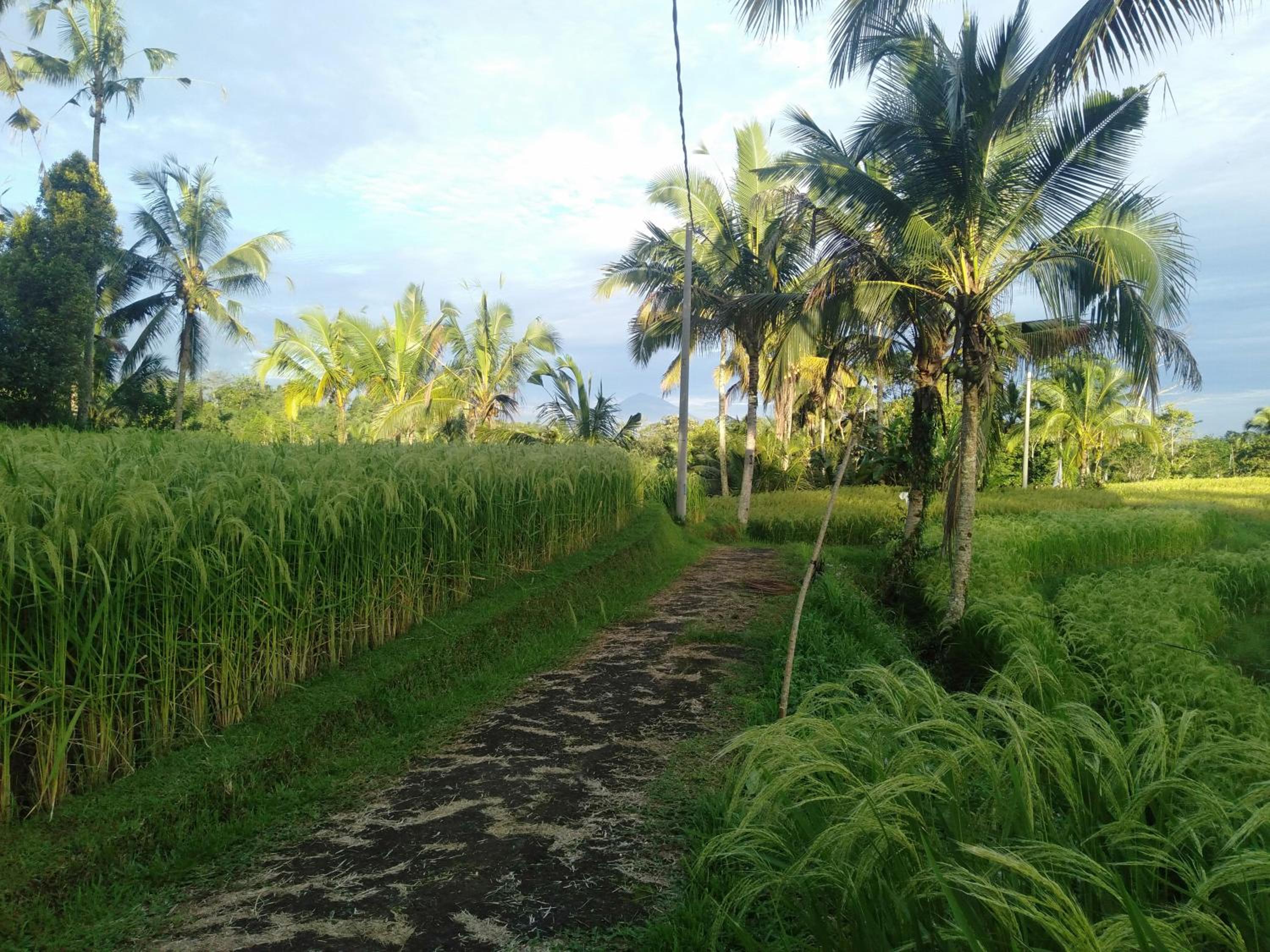 Photo 100
