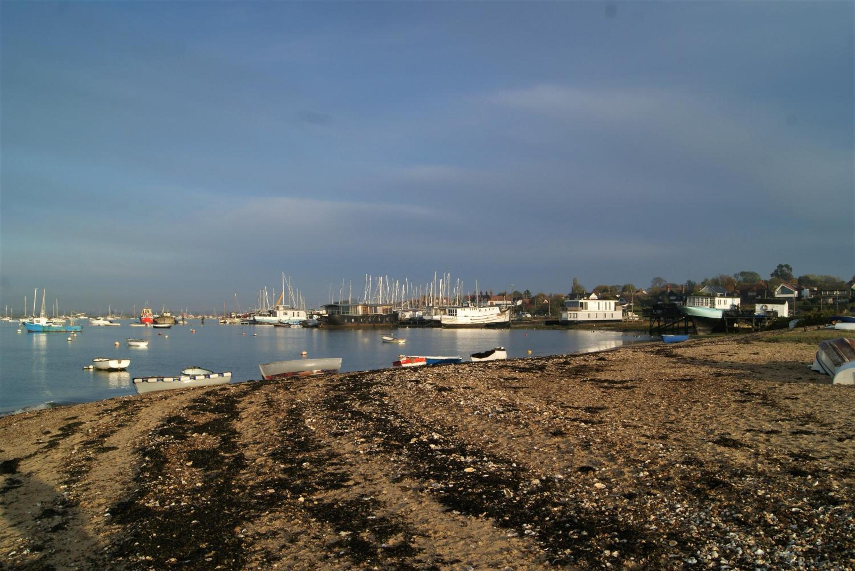 Photo 12