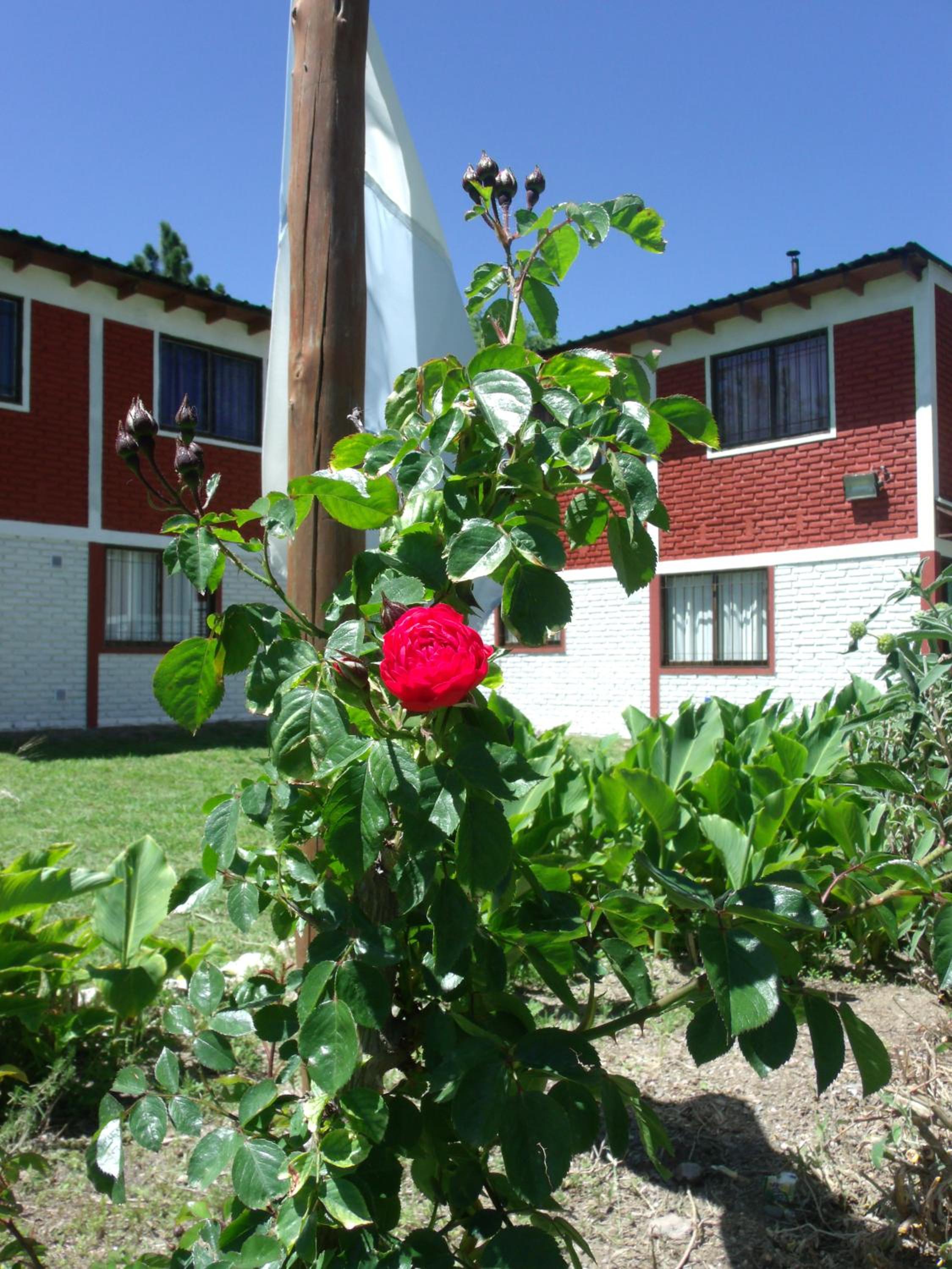 Del Carmen